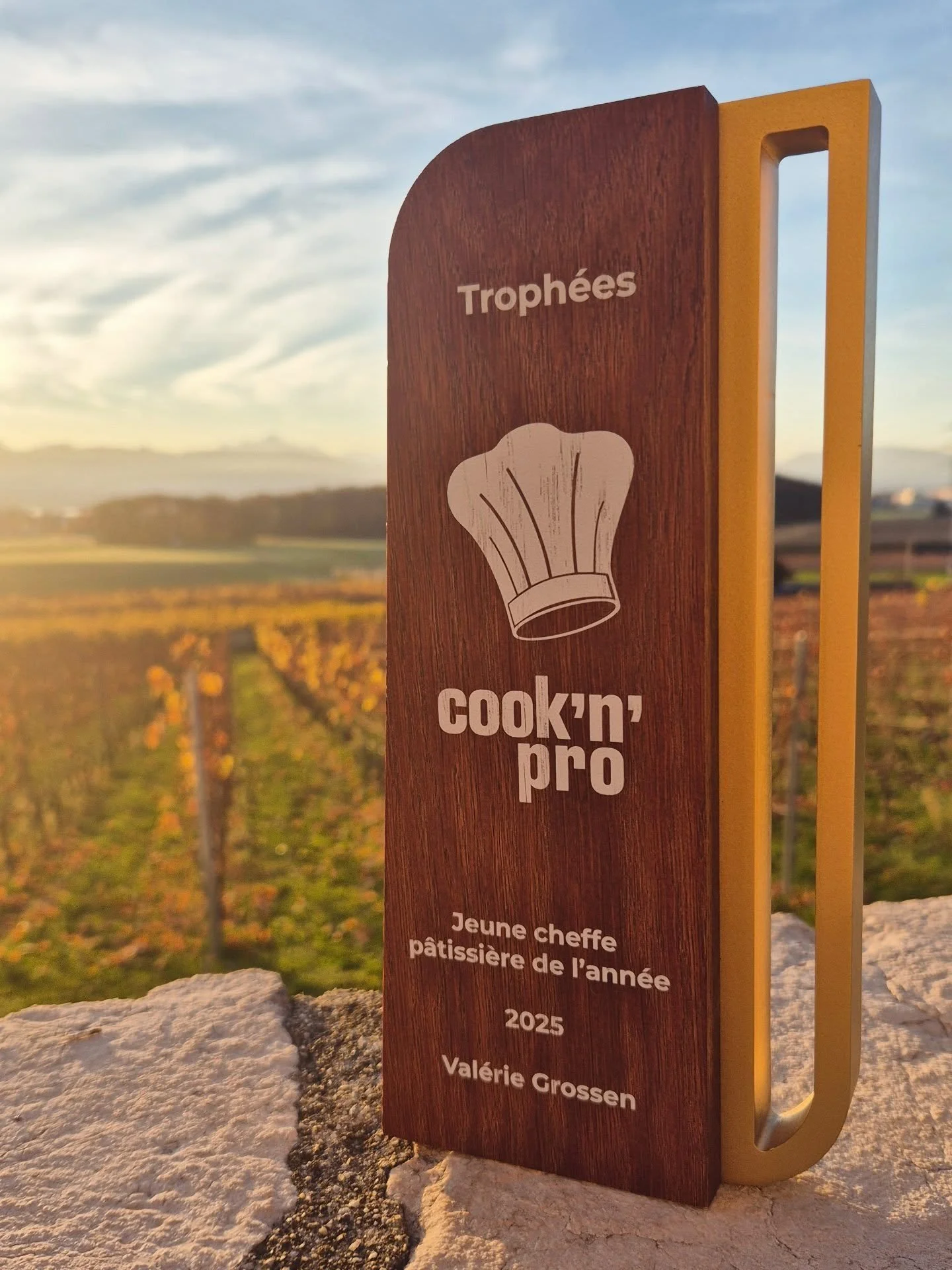 Merci infiniment &agrave; @transgourmetprodega de m&rsquo;avoir s&eacute;lectionn&eacute;e, ainsi qu&rsquo;au @cooknshow pour cette belle r&eacute;compense, le Prix de la Jeune cheffe p&acirc;tissi&egrave;re de l'ann&eacute;e 2025.🏆🤩

Je suis tr&eg