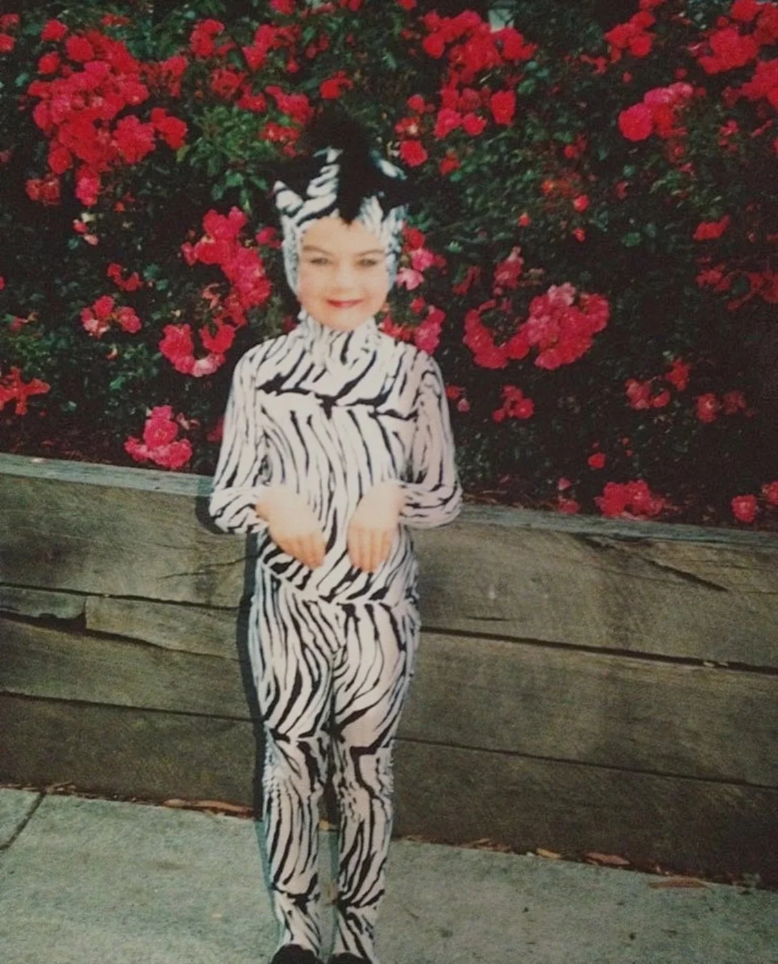Young girl in a zebra-patterned costume standing in front of pink and red flowers with a wooden fence behind her.