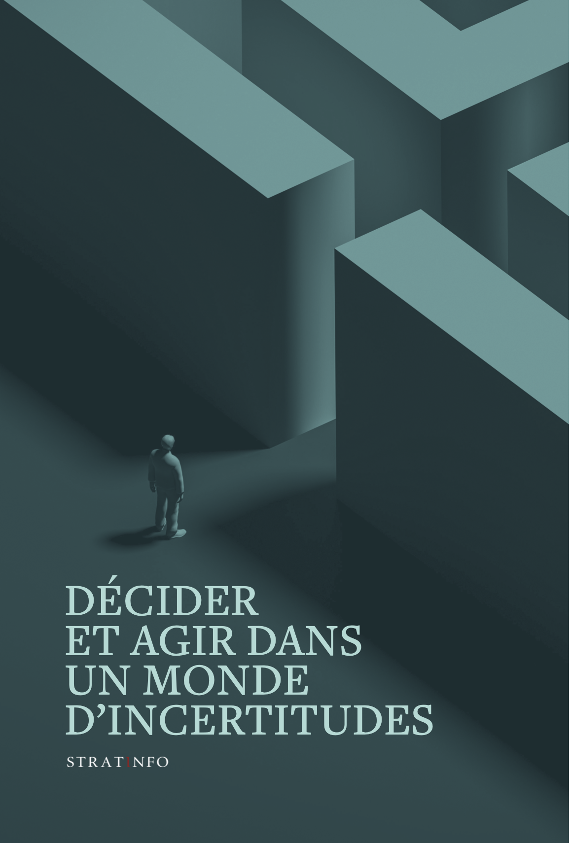 Livre blanc Stratinfo