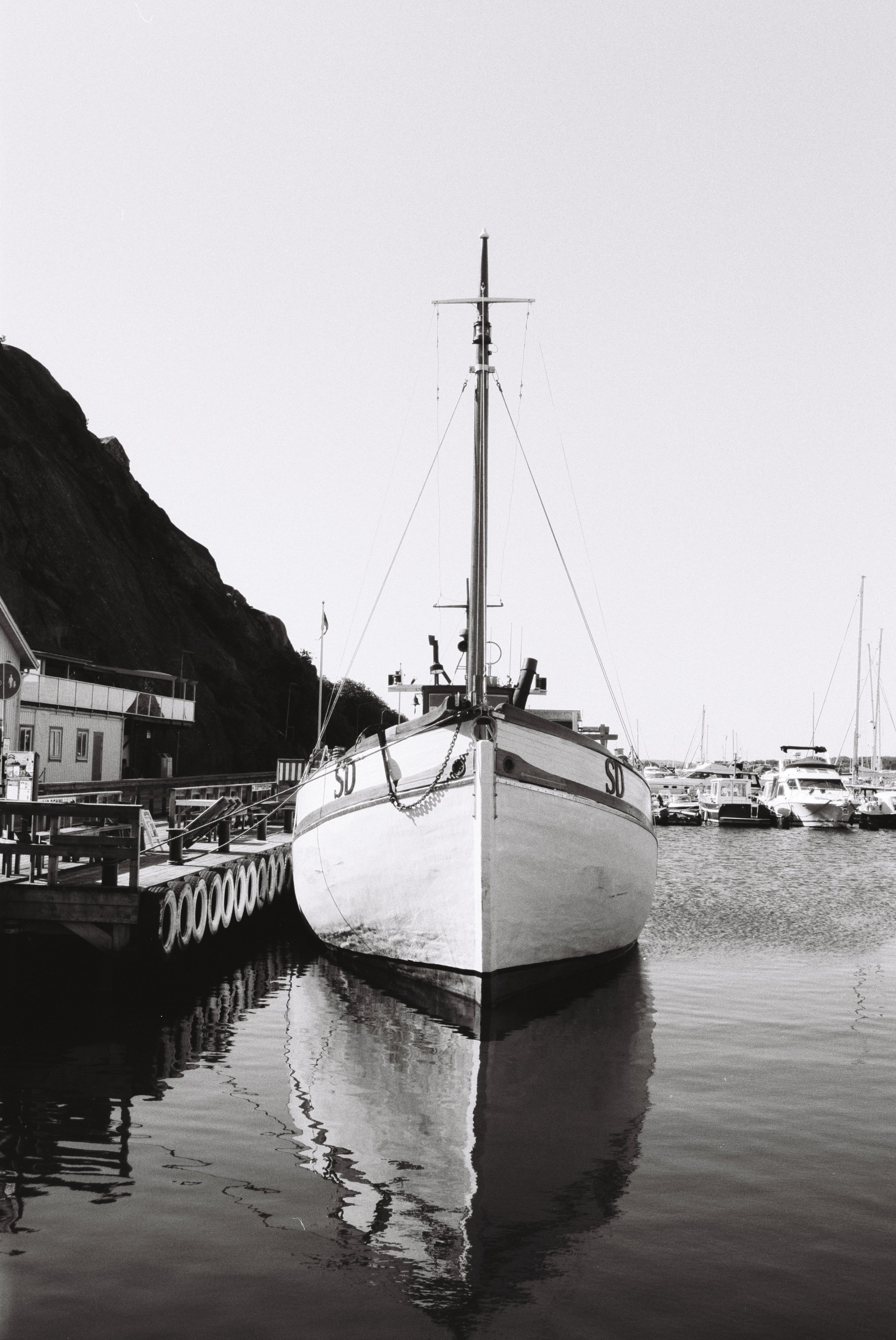 Donalda-2.jpg