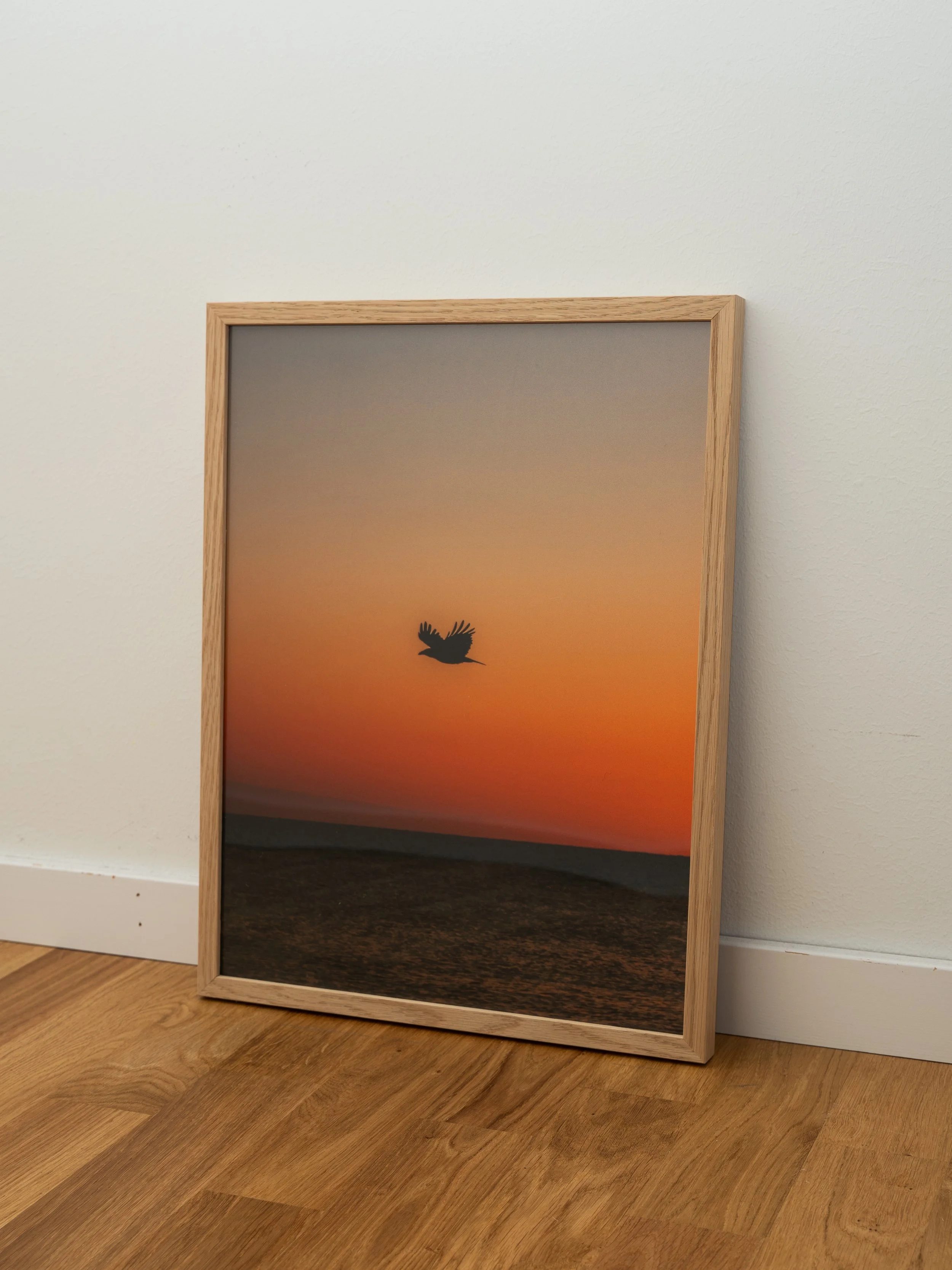 Sunset Bird visningsexemplar 30x40cm