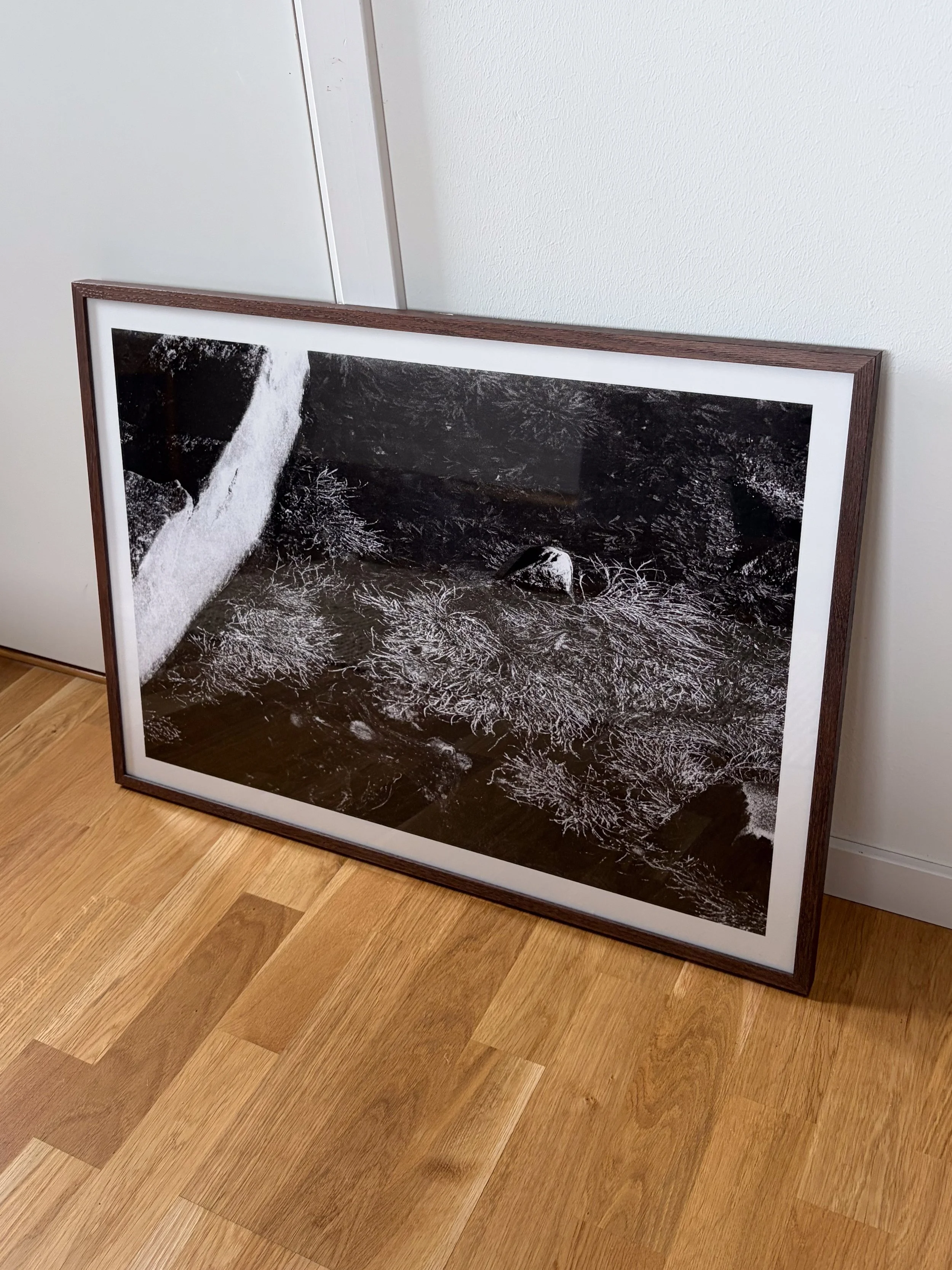 Tång Fine Art Framed 70 x 50 cm