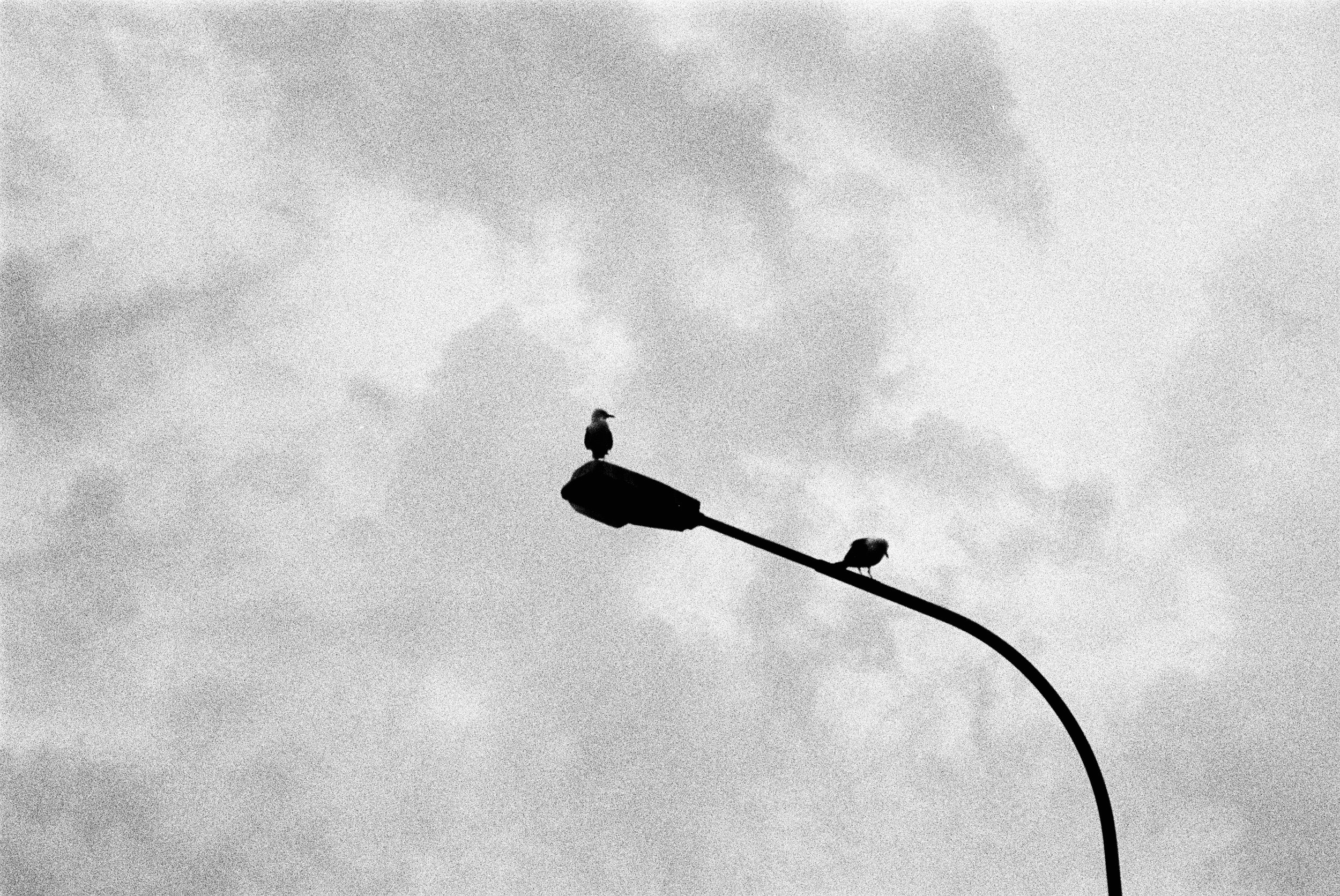 What ya looking at.jpg