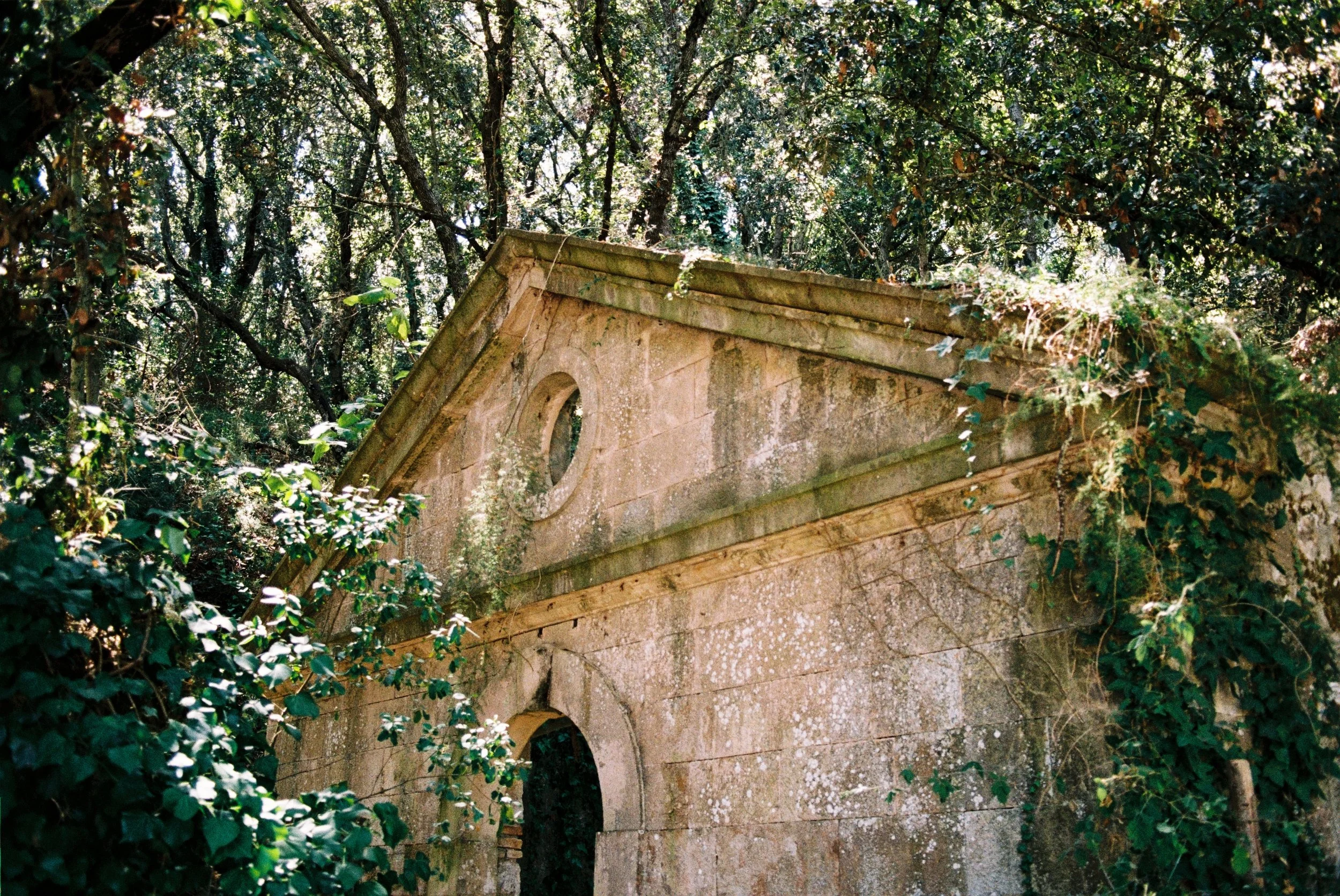 R1-03388-025A.jpg