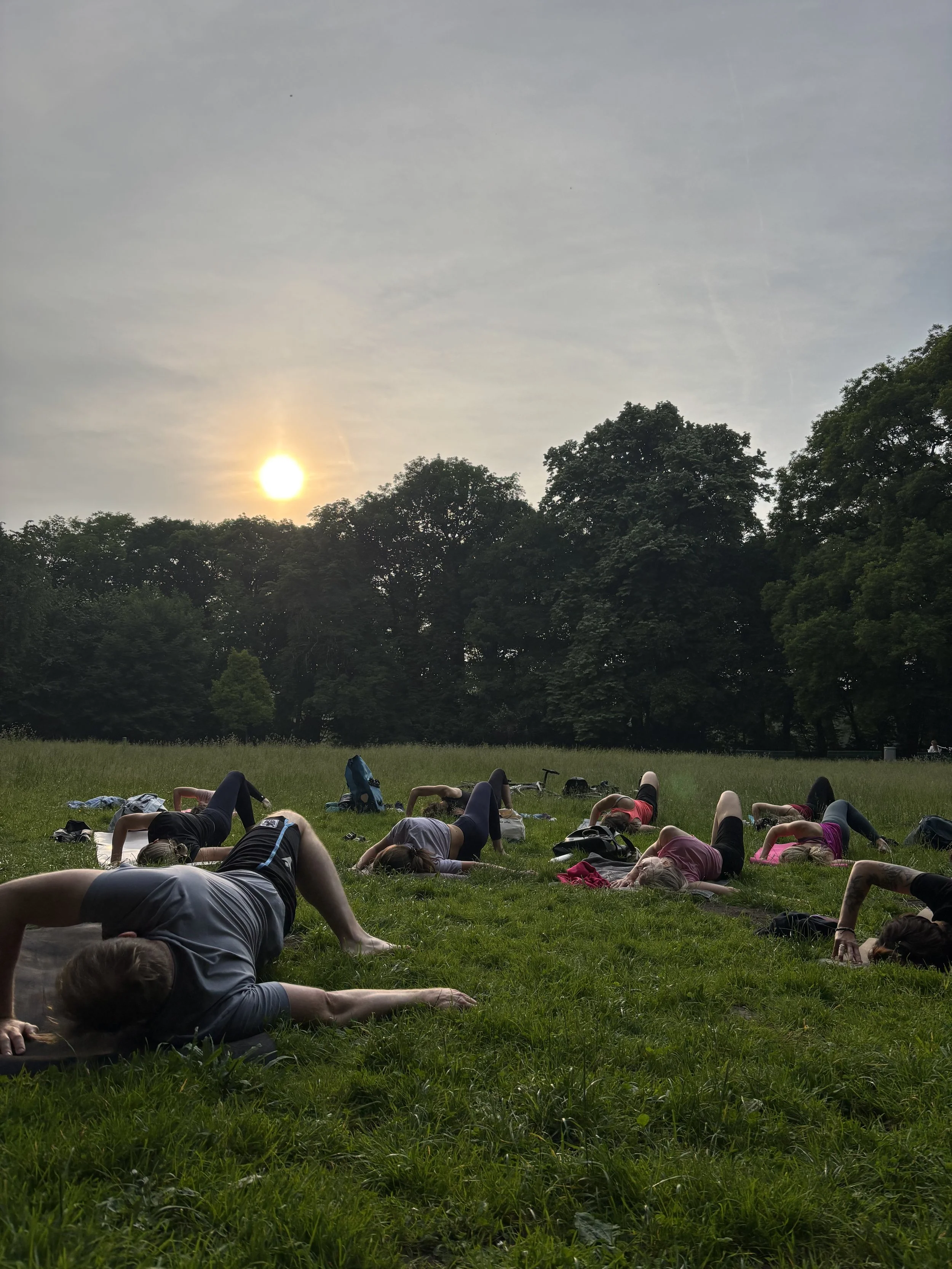 Menschen, die draußen in der Wiese bei Sonnenuntergang Yoga machen