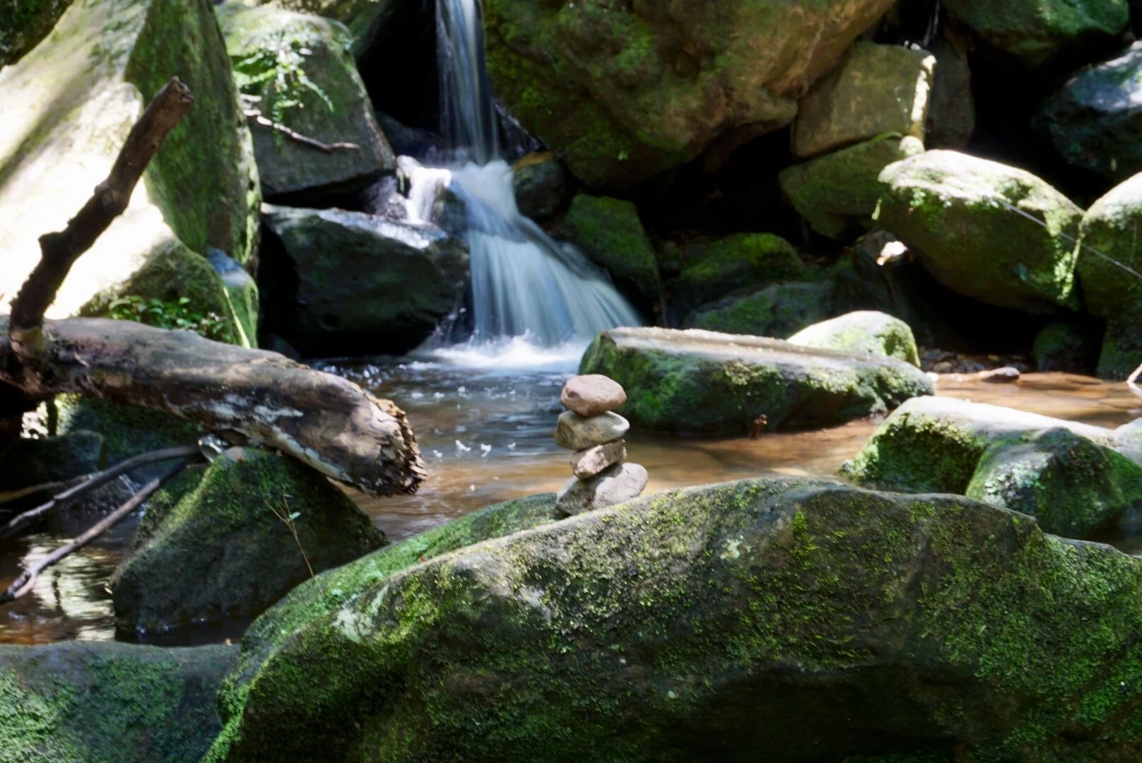 Ein kleiner Bach fließt über Steine, umgeben von moosbedeckten Felsen in einem grünen Wald.