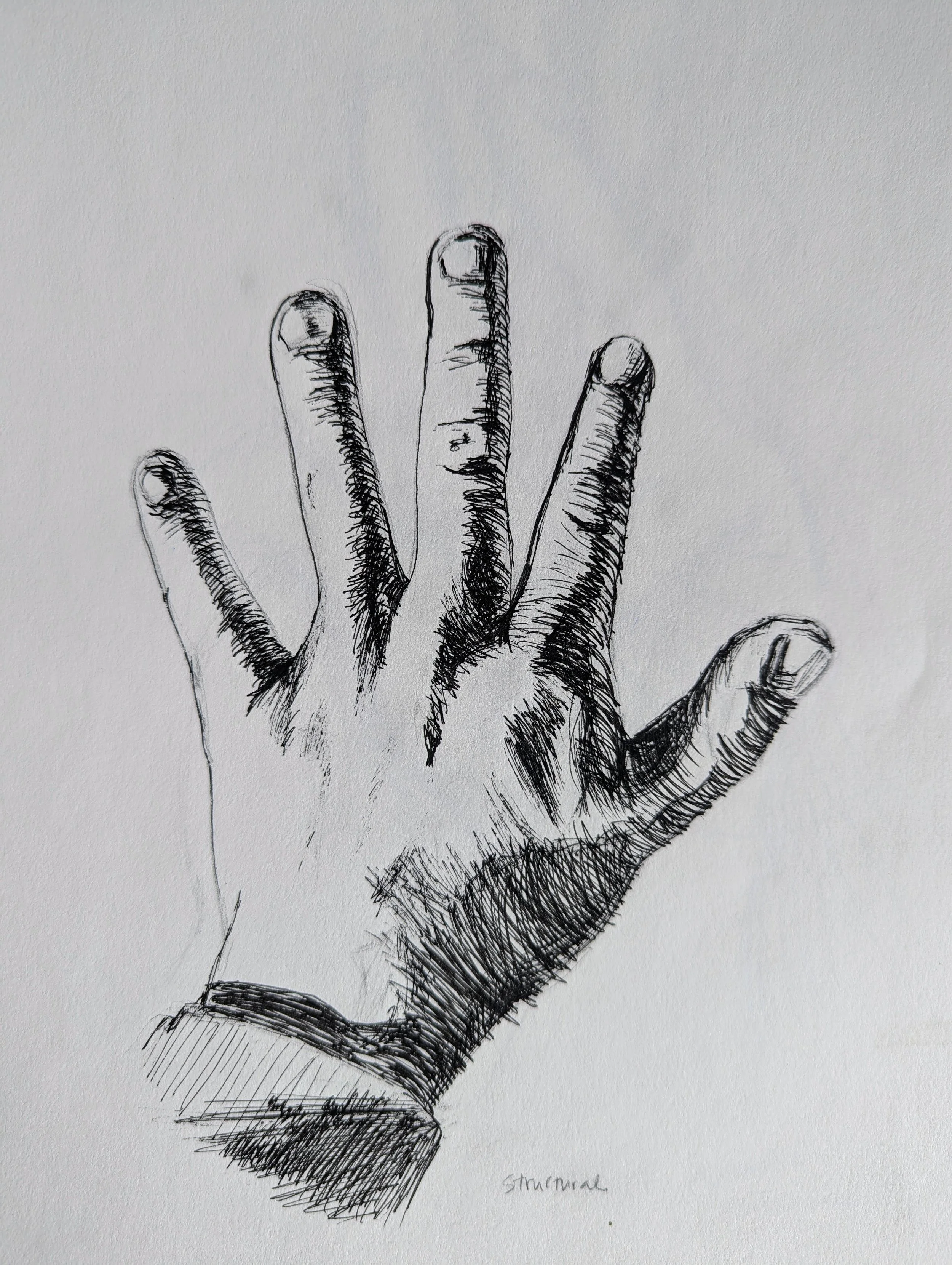 hand 1.jpg