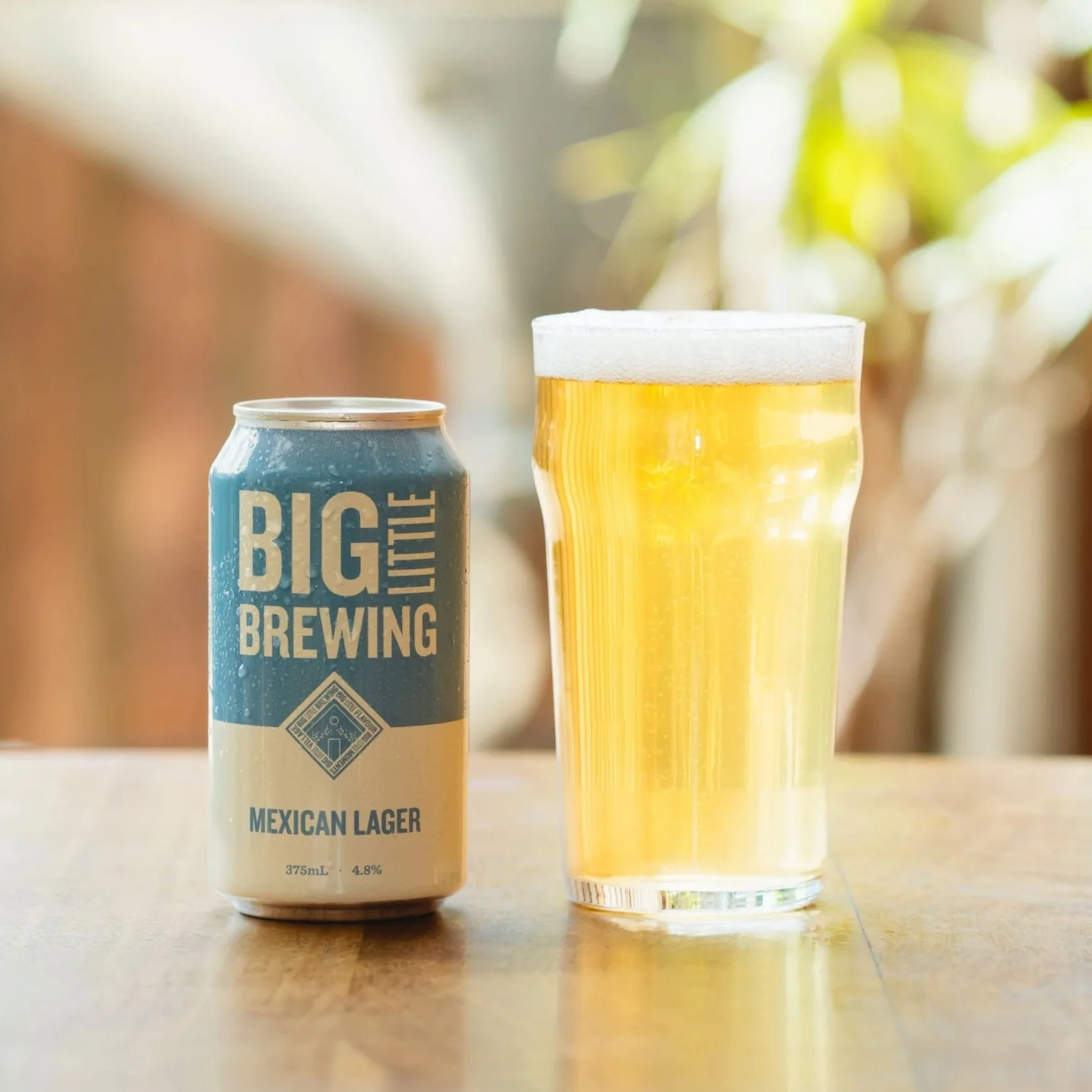Mexican Lager