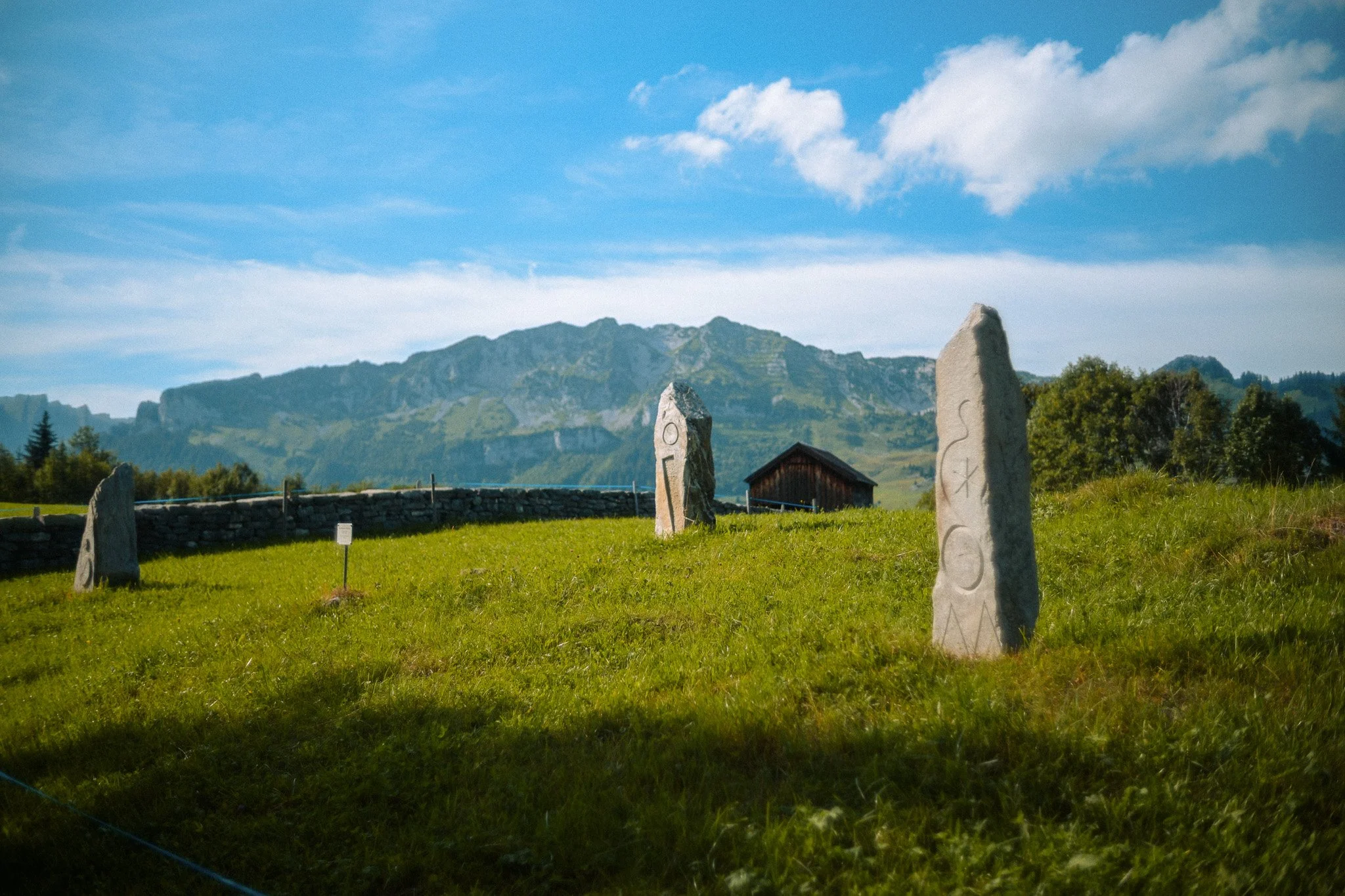 DSC_3091.jpg