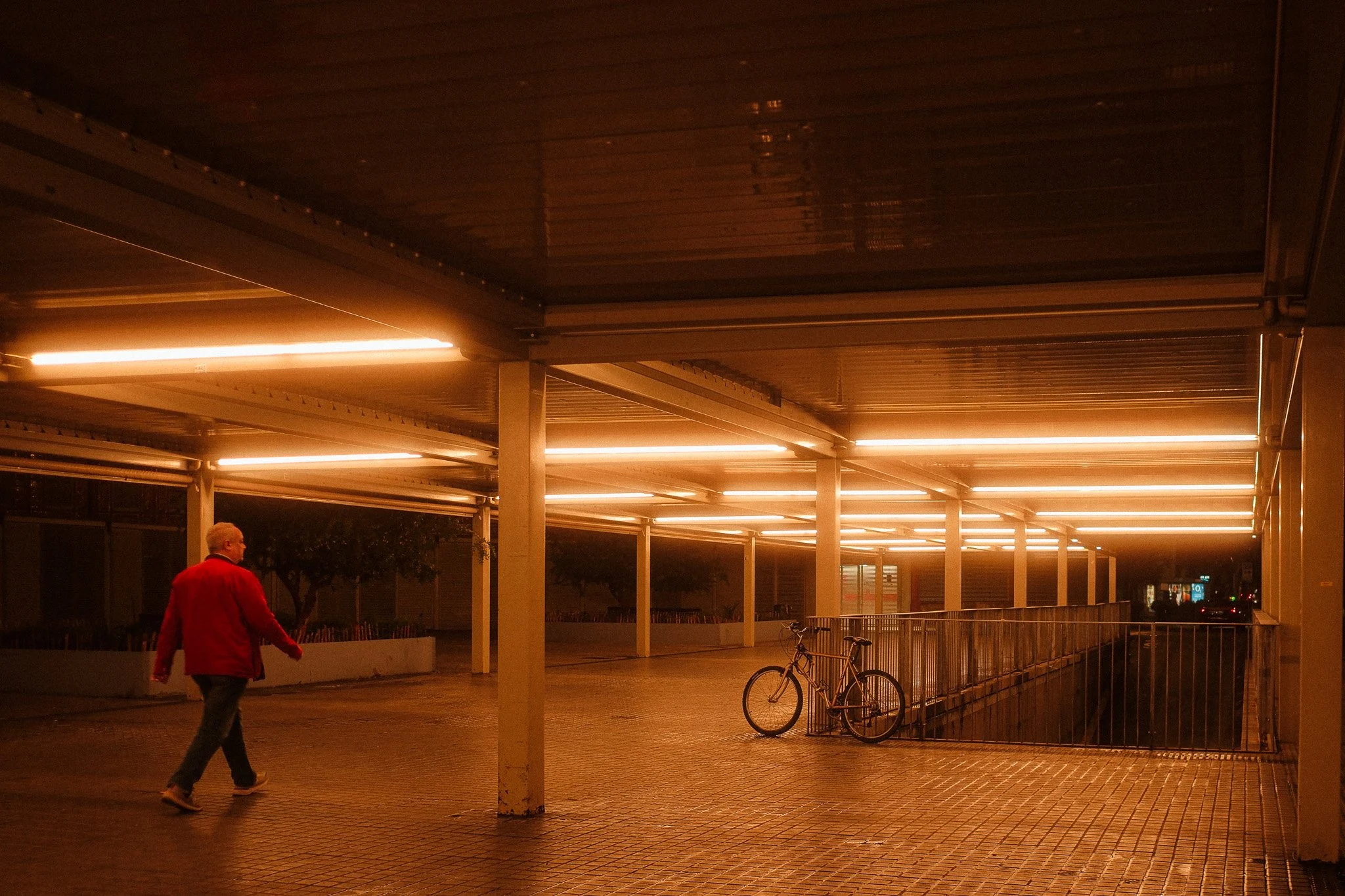 DSCF5129.jpg