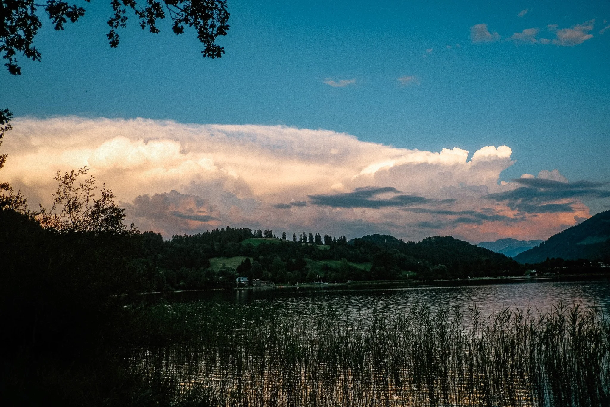 DSCF0974.jpg