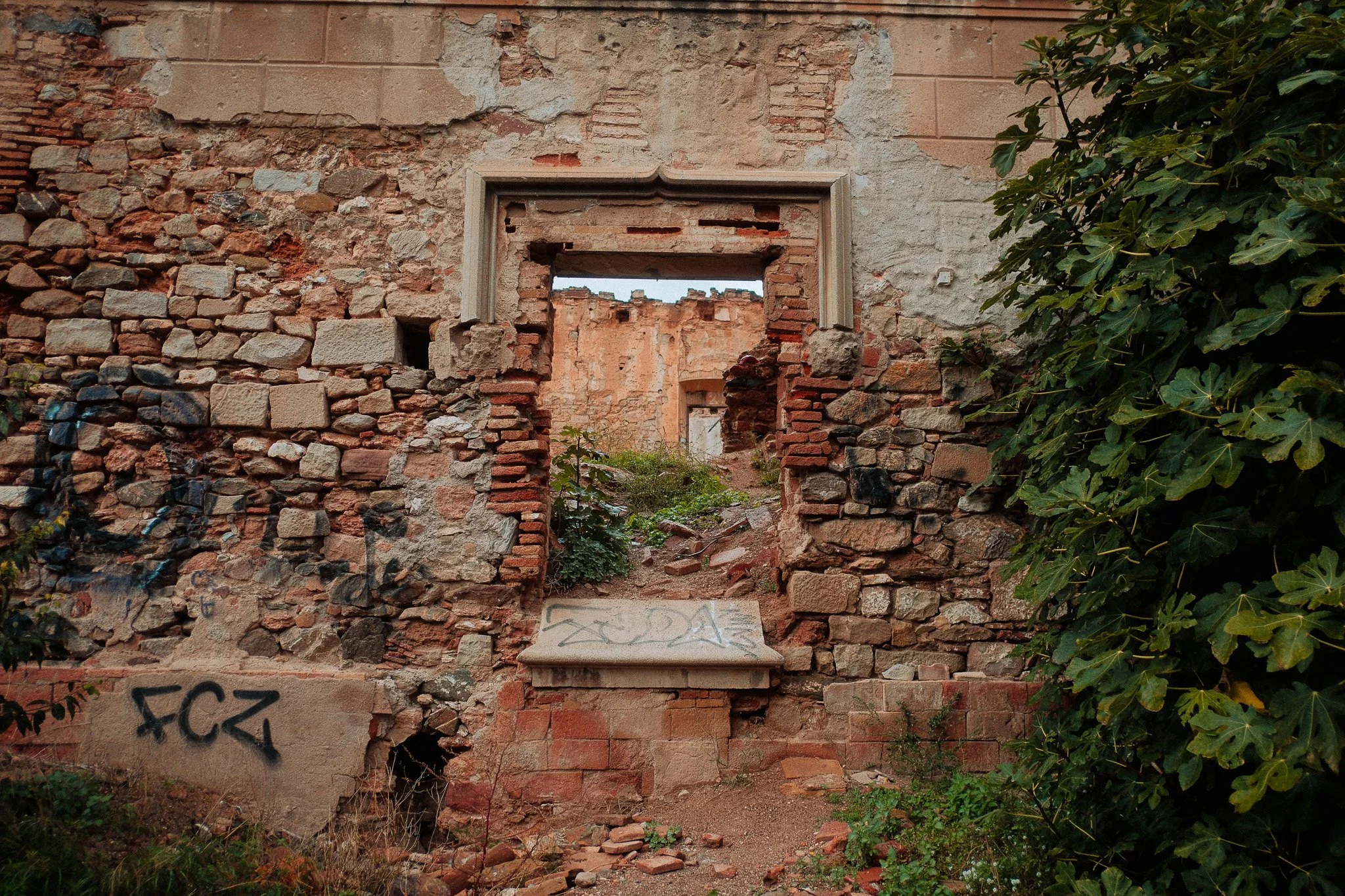 DSCF5654.jpg