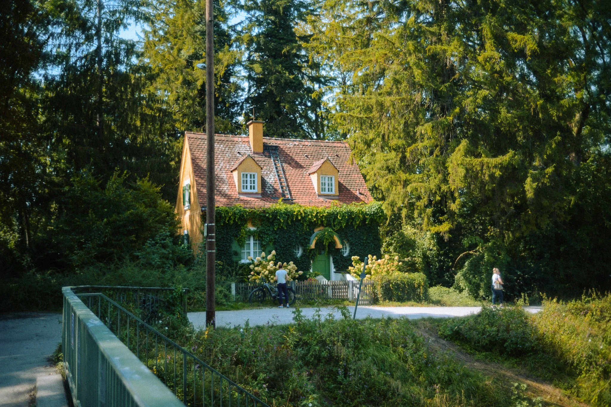 DSC_5770.jpg