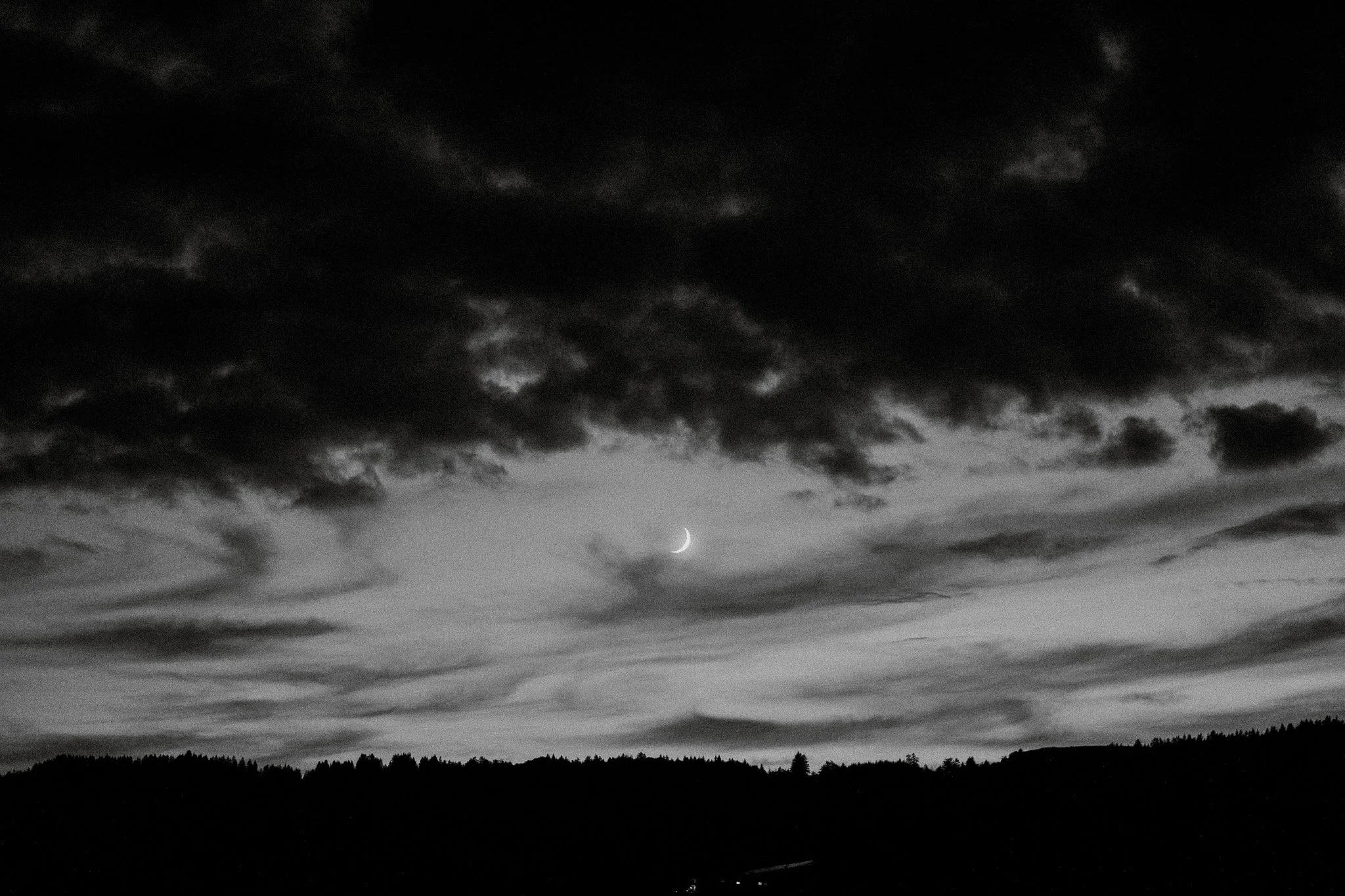 DSCF9103.jpg
