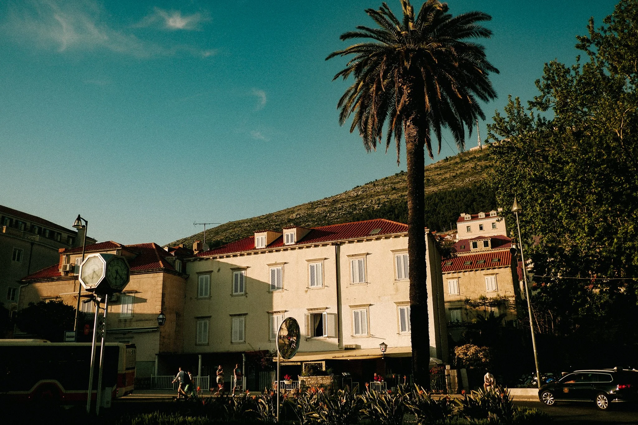 DSCF2228.jpg