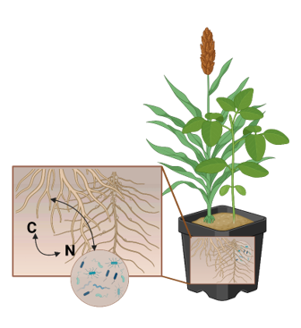 the oracle project.png