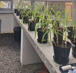 Schermafbeelding 2026-03-31 114812.png