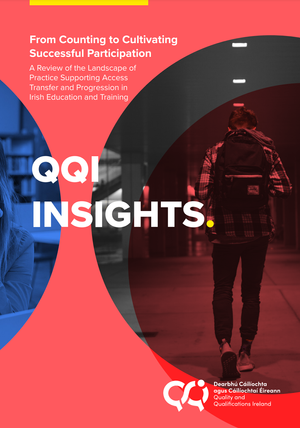 From Counting to Cultivating Successful Participation: A Review of the Landscape of Practice Support