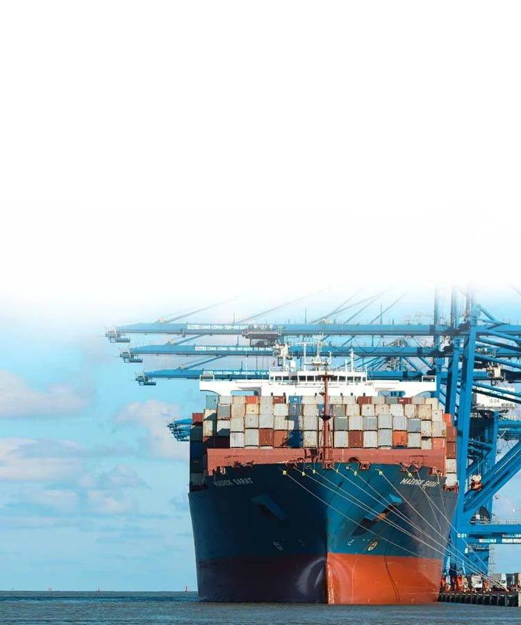 A large cargo ship docked at a port with multiple blue cranes in the background loading or unloading containers on a partly cloudy day.