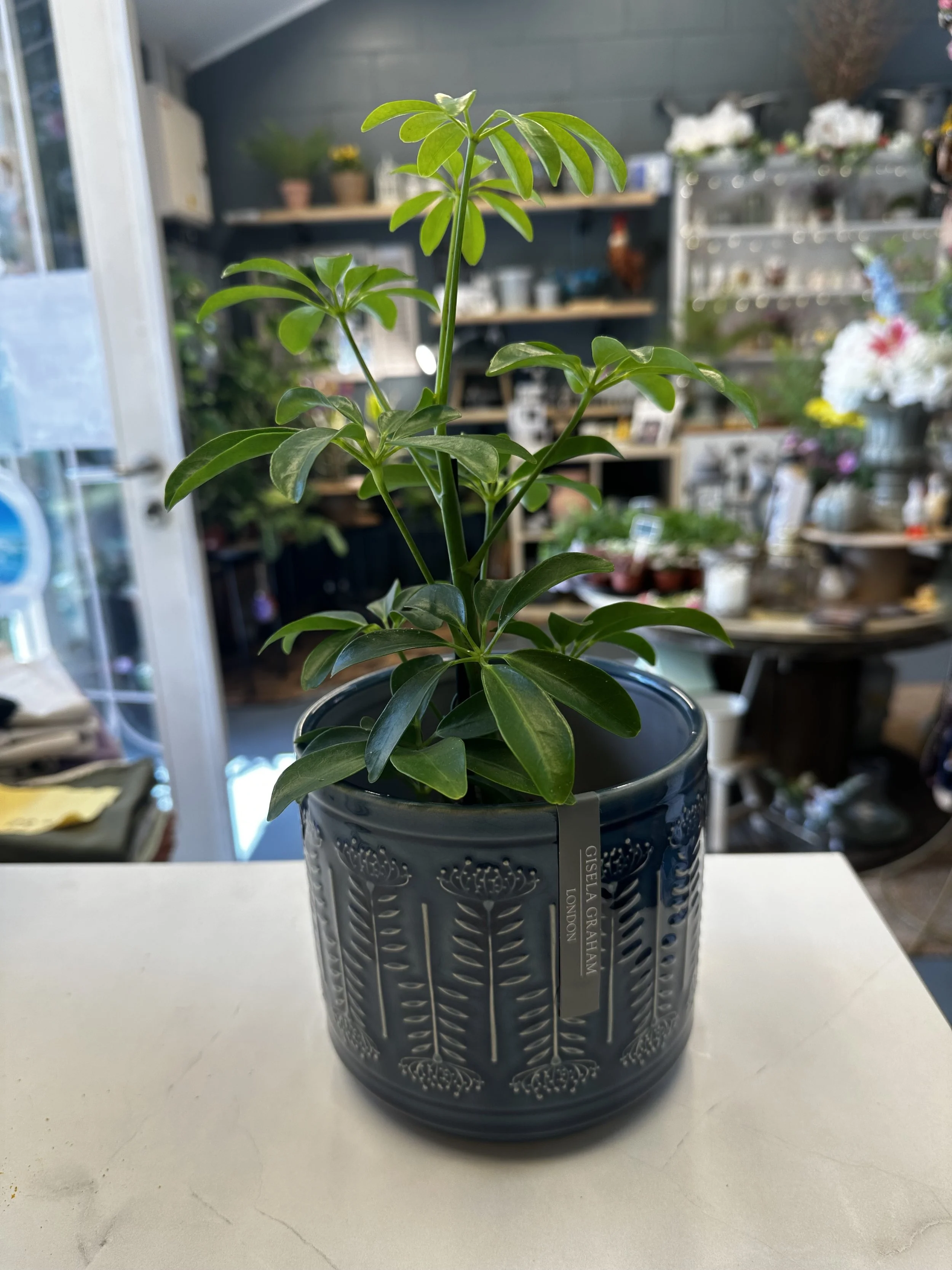blue planter 3.jpg