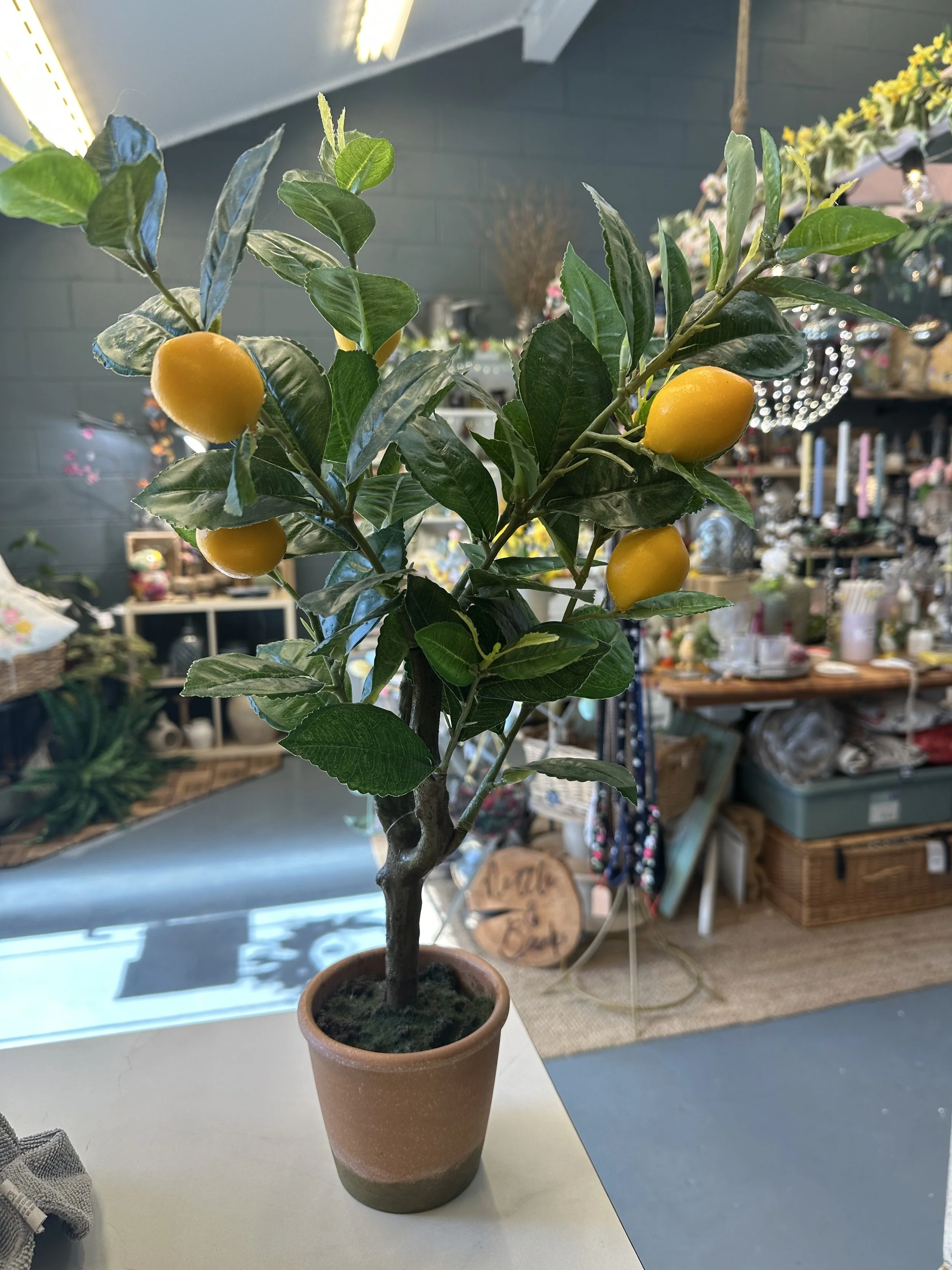Artificial Lemon Tree