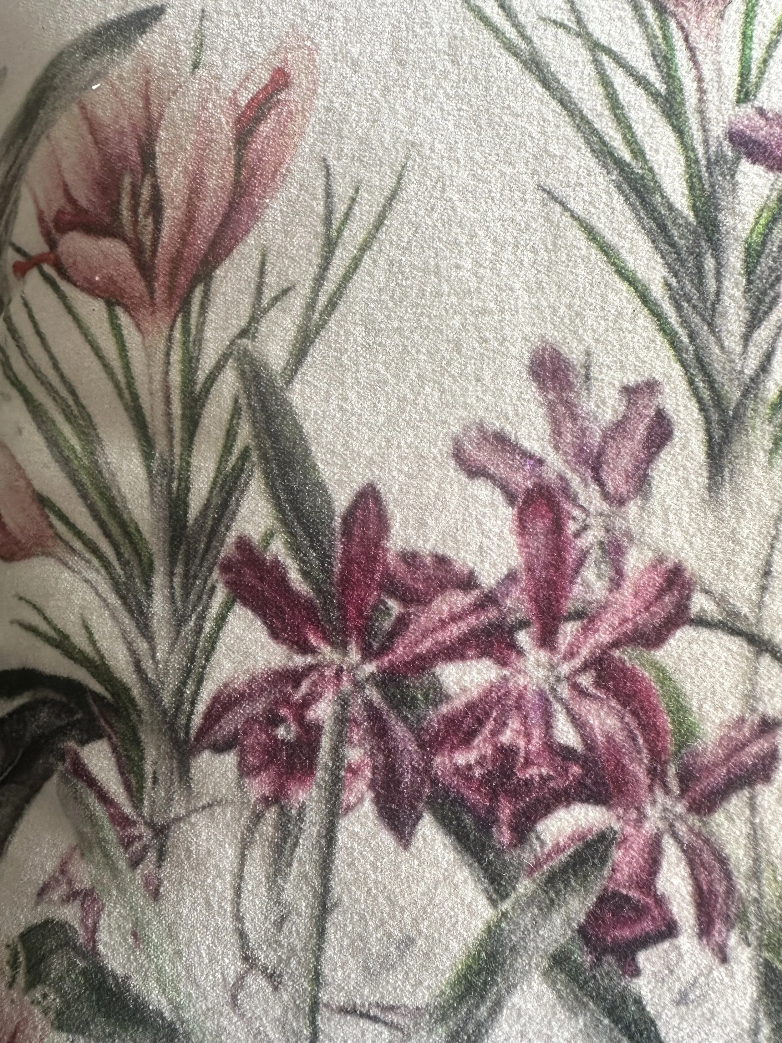 purple cushion 2 .jpg