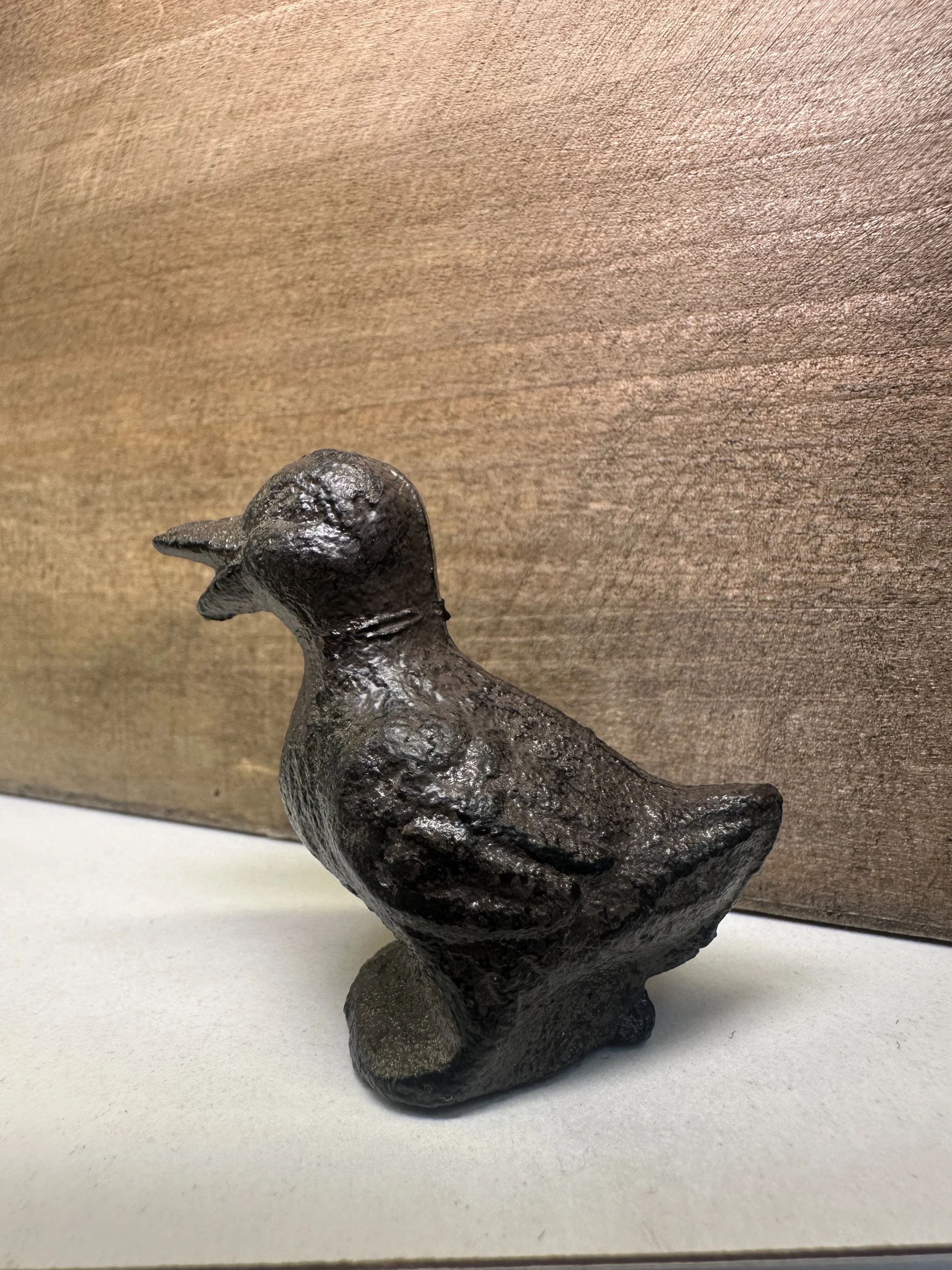 cast iron duck 2.jpg