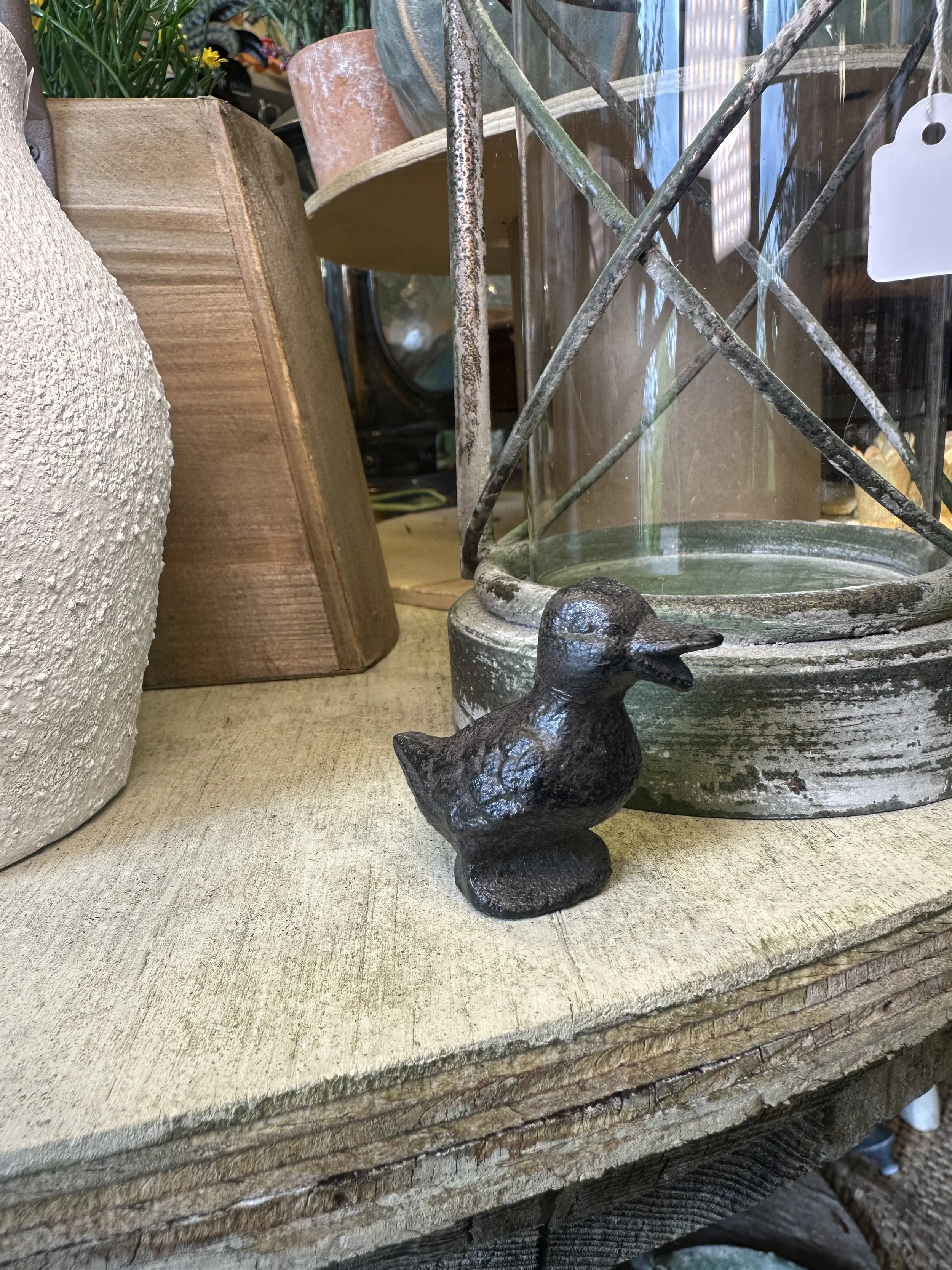 cast iron duck 1.jpg