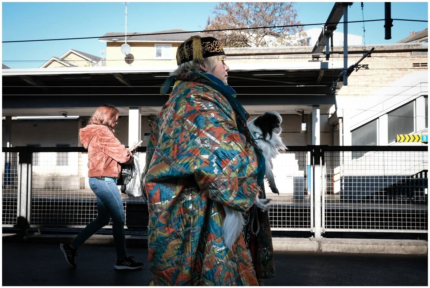 Keep calm and carry one 

&bull;&bull;&bull;

#keepcalmandcarryone🐶 
#streetphotographyinternational
#mystreet_bnw
#streetphotography_cy
#rsph_streethub
#shinyhappystreet
#burnmyeye
#SSiCollaborative
#streetianity
#upcstreet
#spi_shadows
#spi_geomet