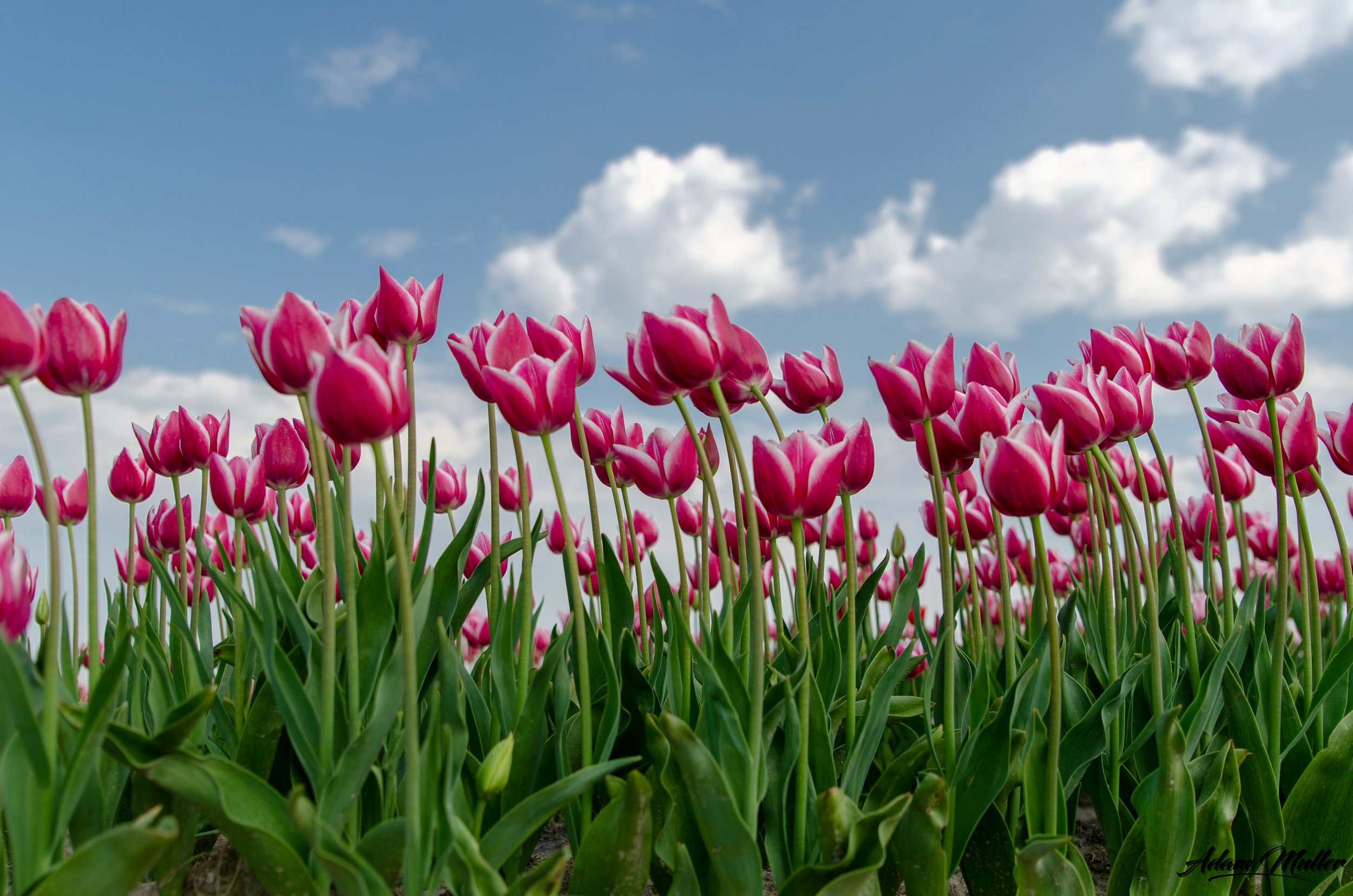 Springboard for Change: Why May Is the Perfect Time to Rethink Your Talent Strategy