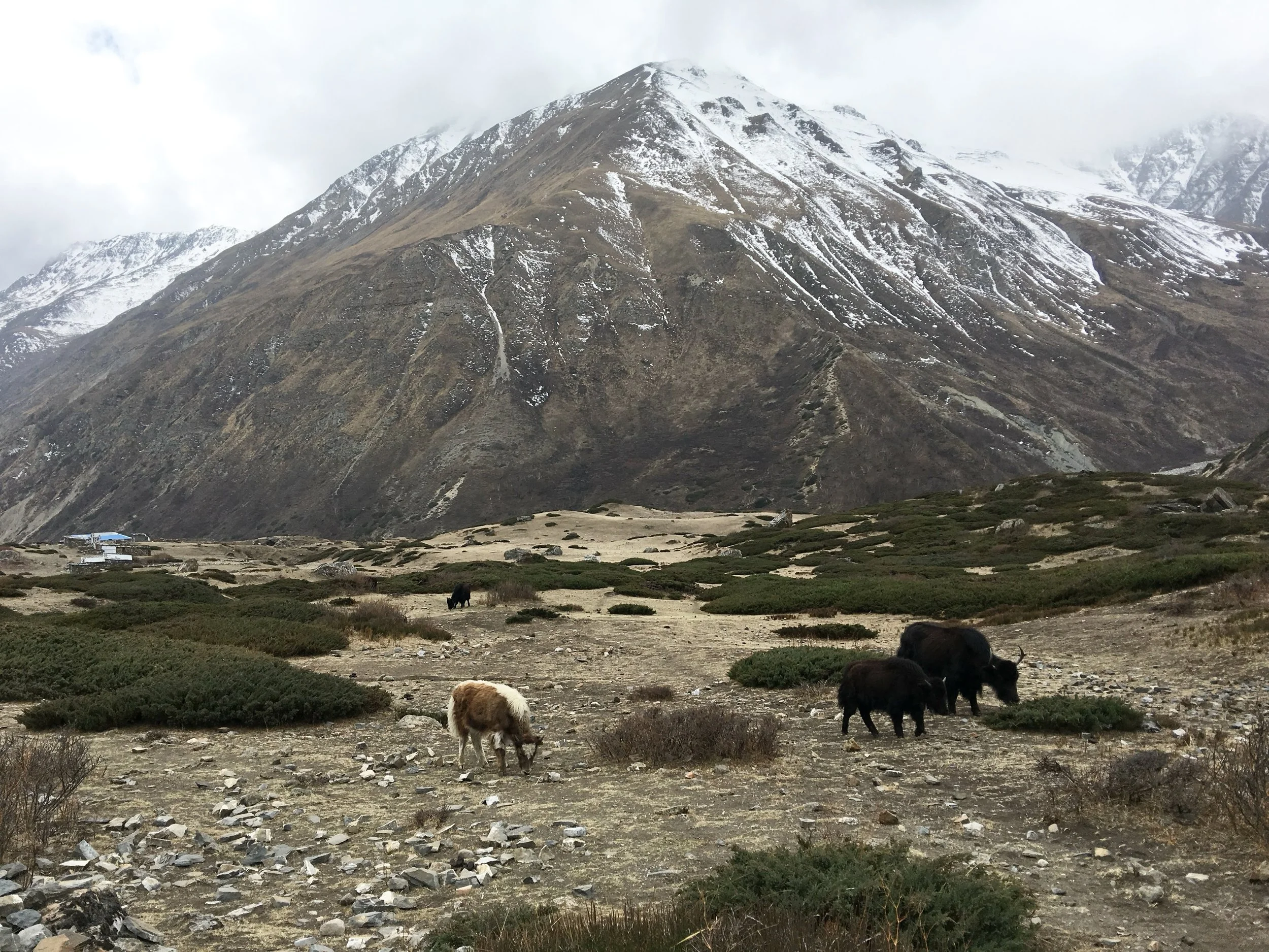 Travel photo diary | Annapurna Circuit, Nepal (2018)

My first trek through the Himalayas and the beginning of many journeys exploring the region&rsquo;s landscapes, craft traditions and communities. The breathtaking views and vast rugged landscapes 