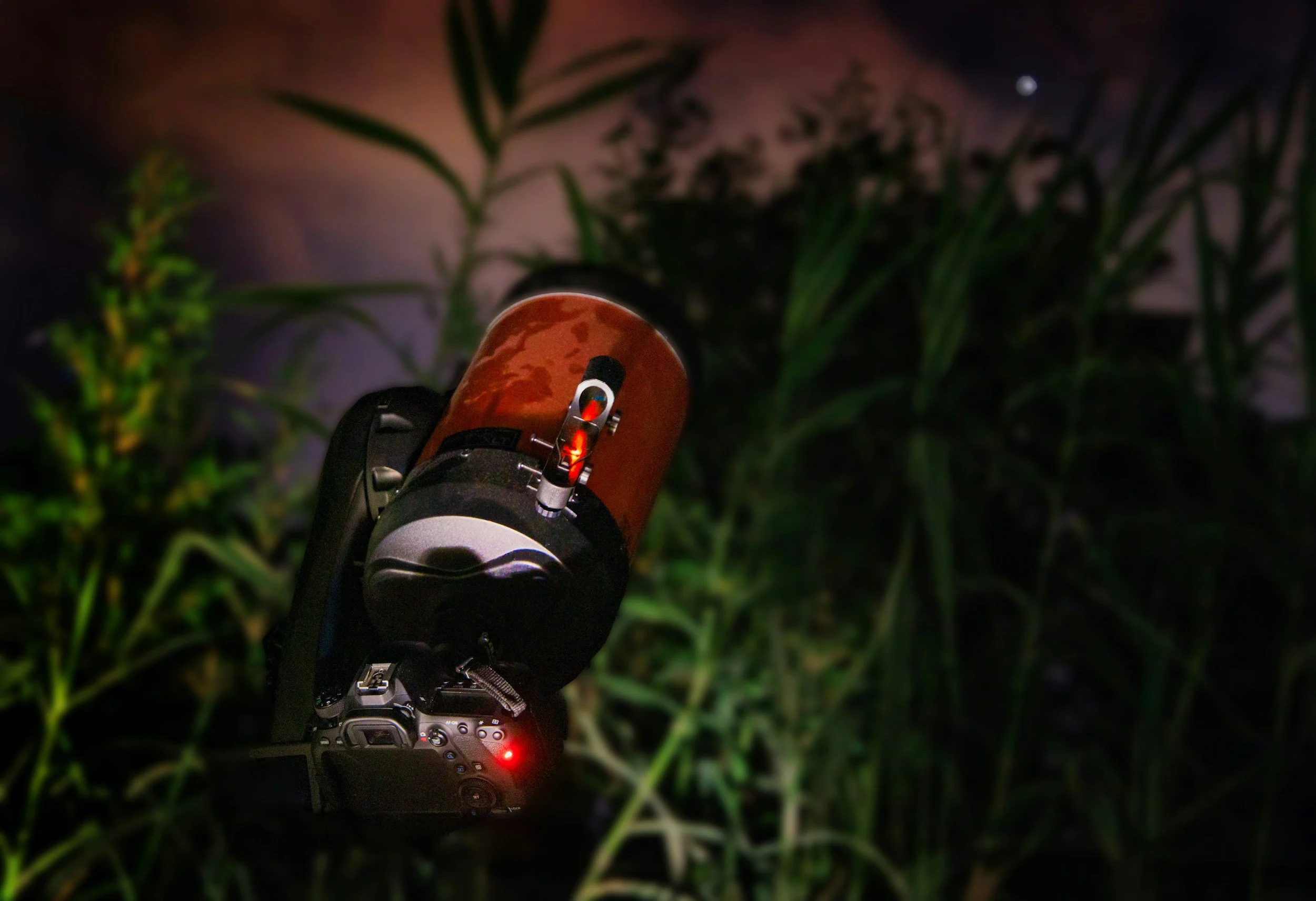 January Members Only Night!