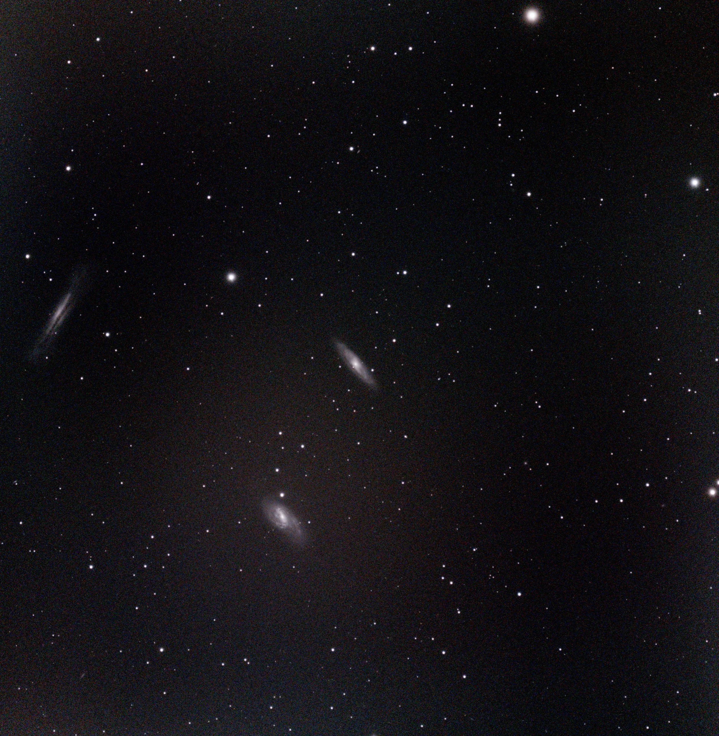 Leo Triplet (M66) by member Rob Bayne