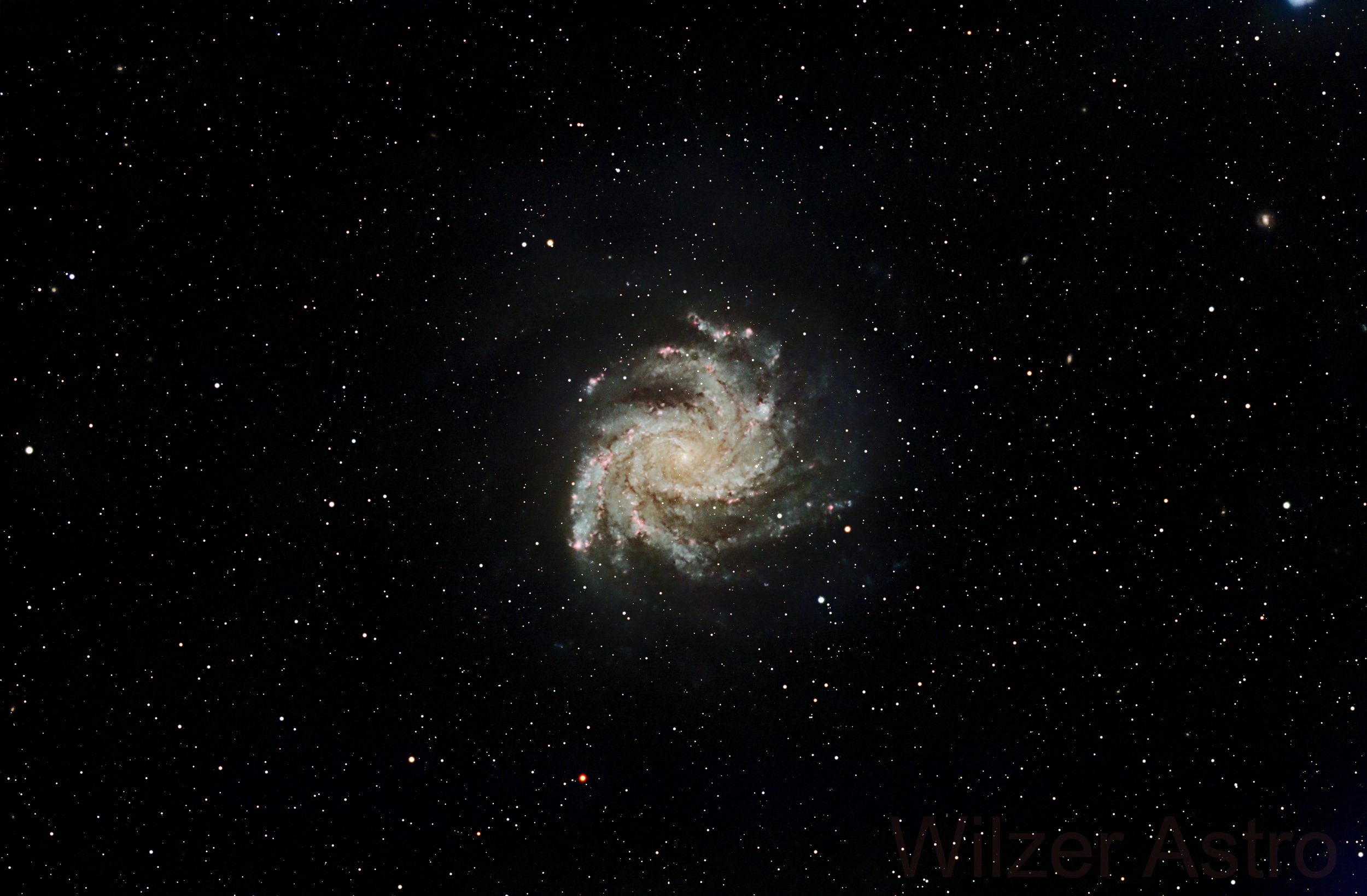 NGC6946 by member Will Root