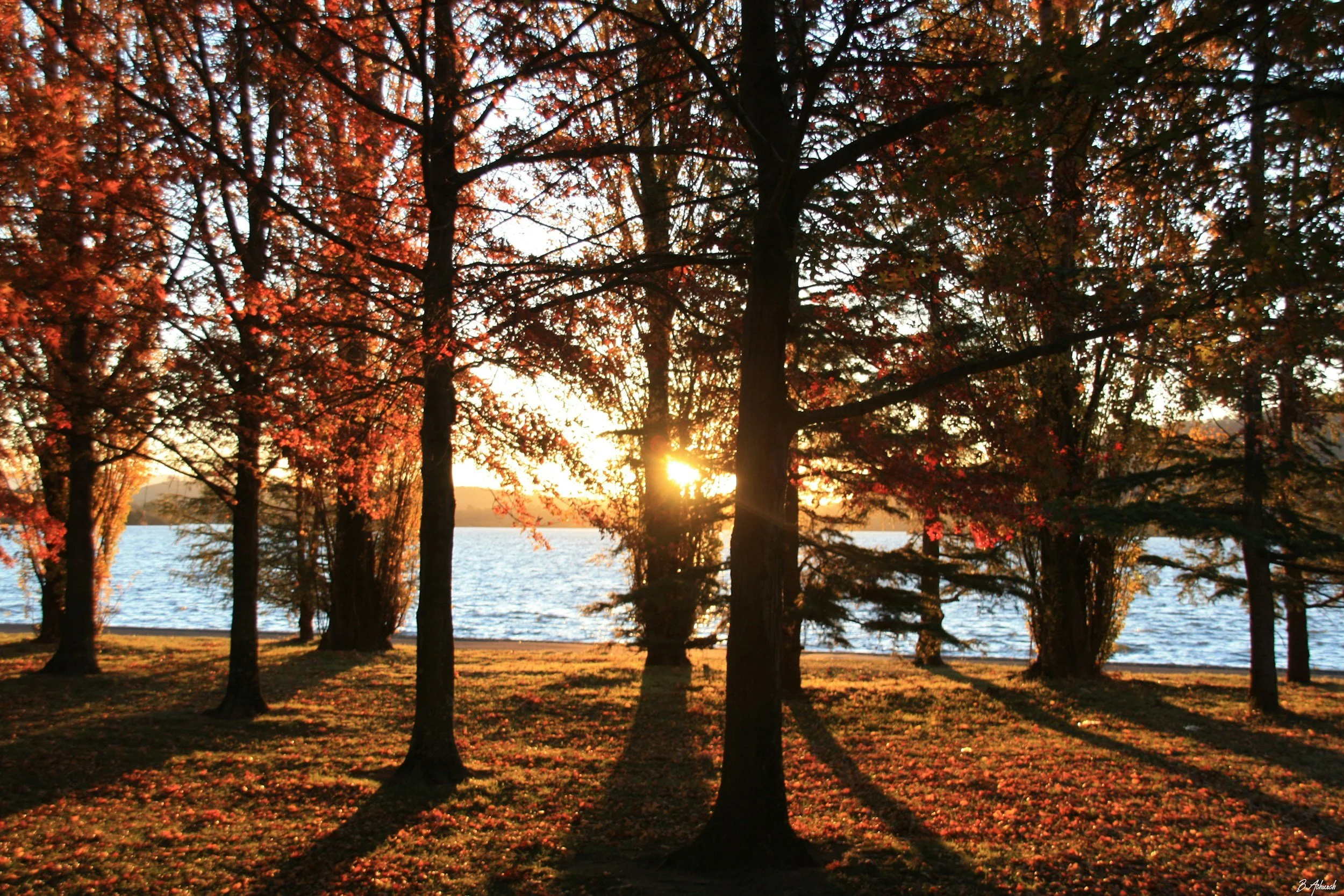Before the Snow Falls - Estate Planning Check-Up