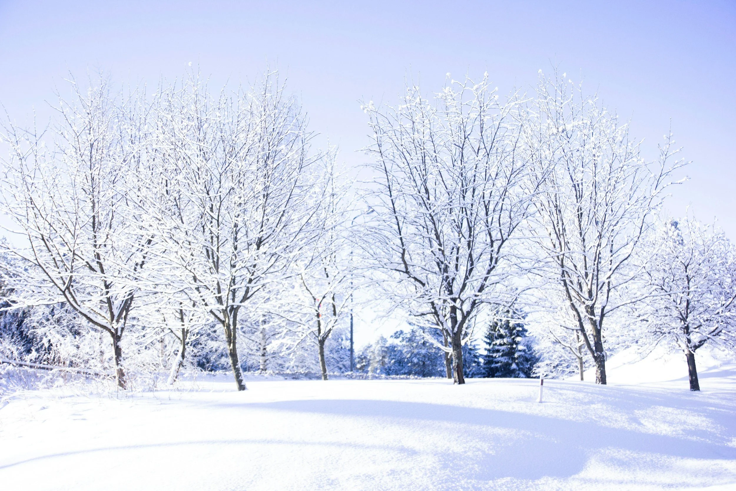 Cold Weather, Clear Conversations - Beating the Winter Blues Together