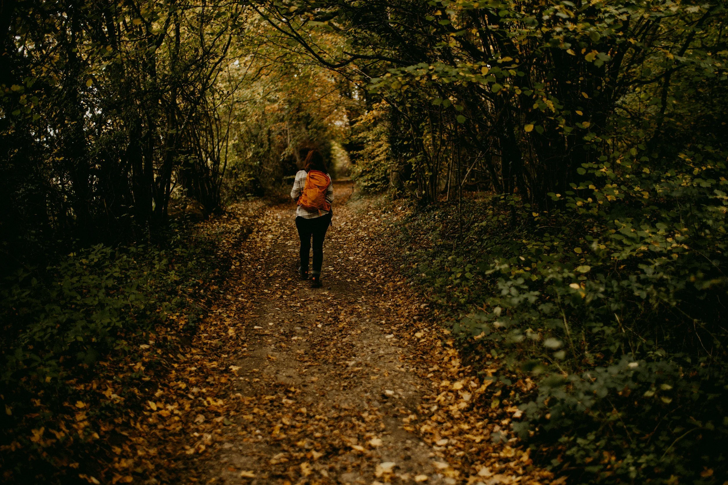 Person walking on a wooded path, symbolizing a personal life journey