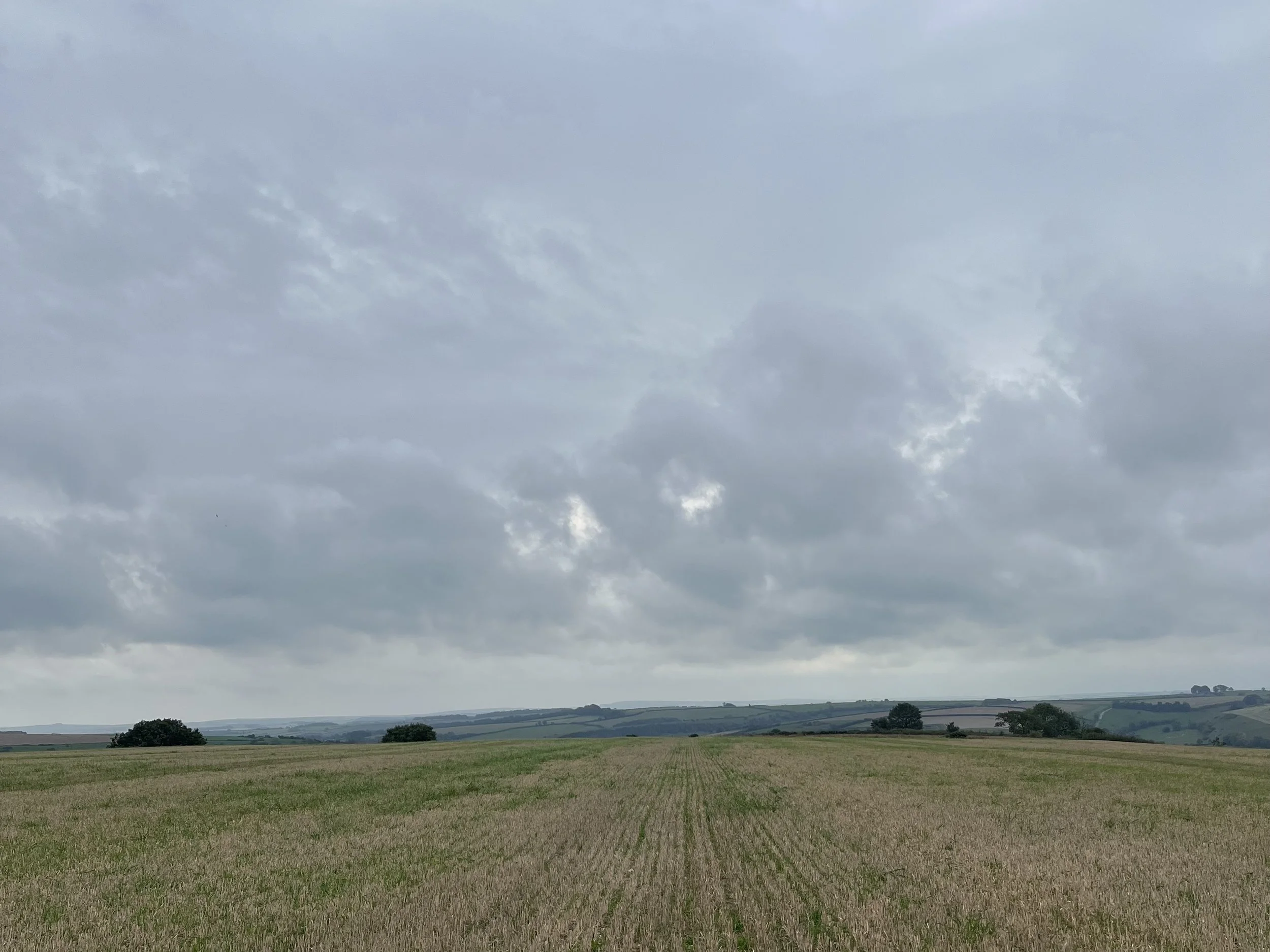 A harvested field beneath grey clouds, stretching towards the horizon.
