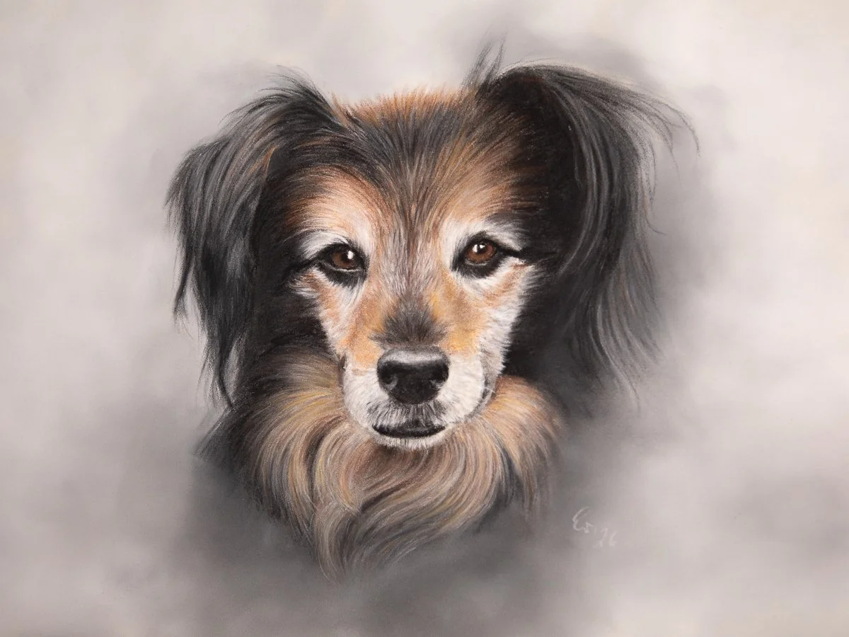Hund gezeichnet Pastell