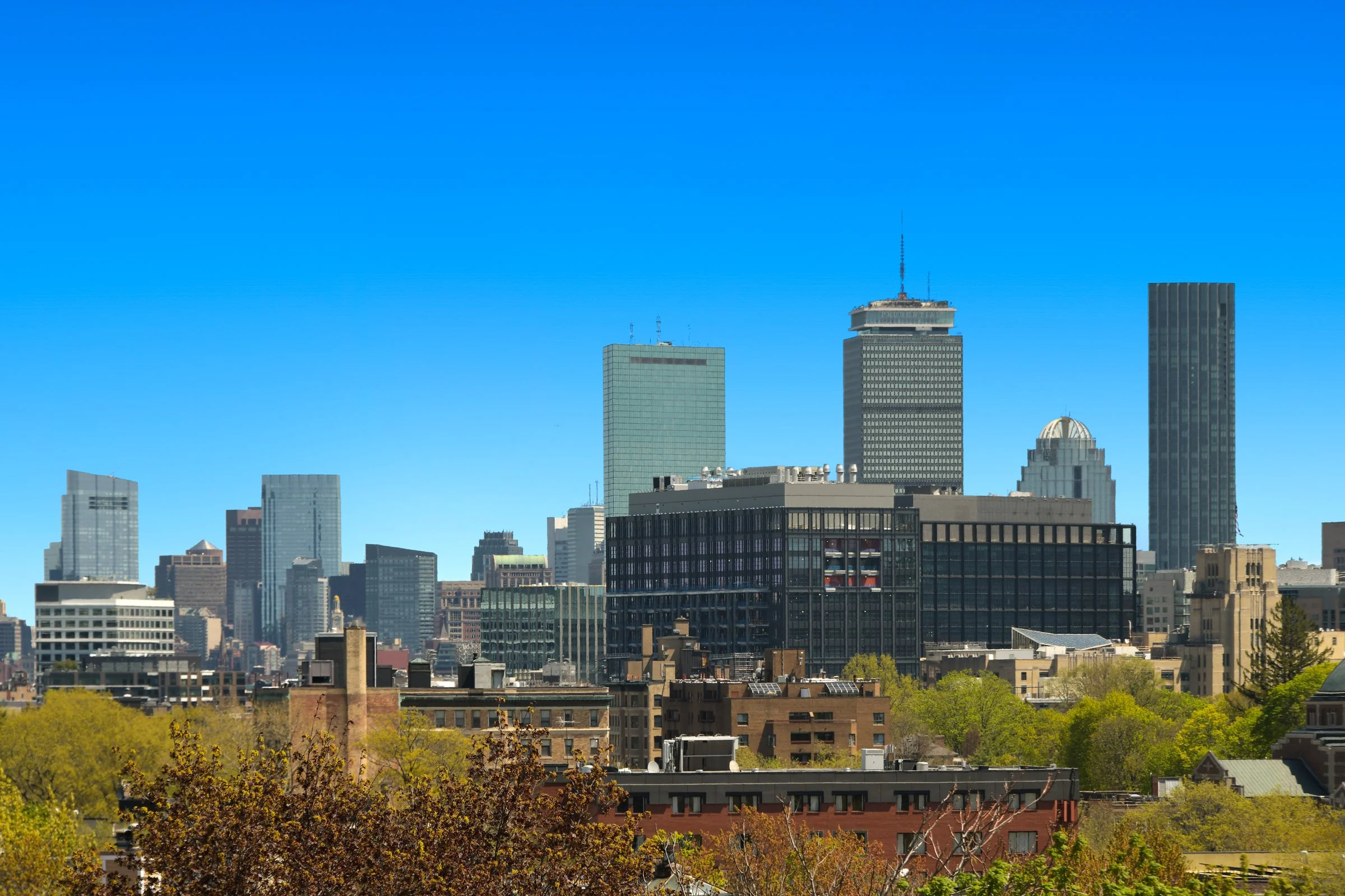 DSC_8525.jpg
