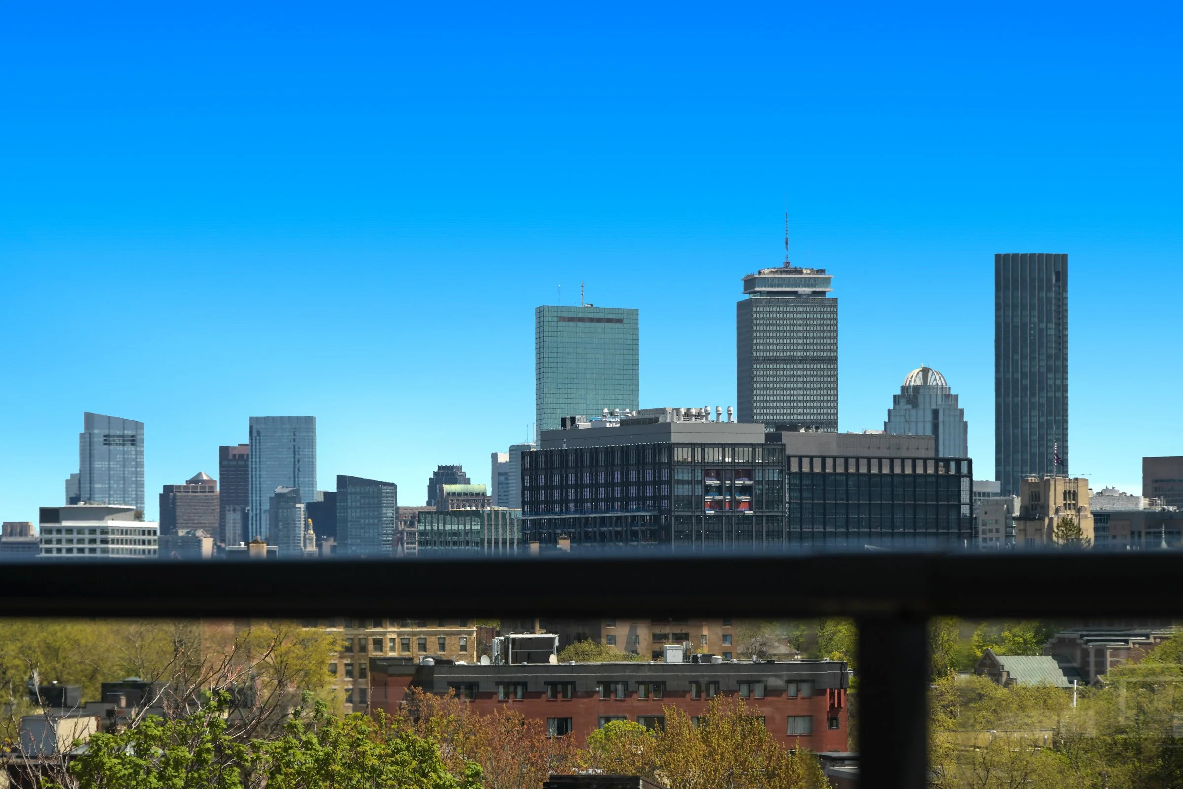 DSC_8536.jpg