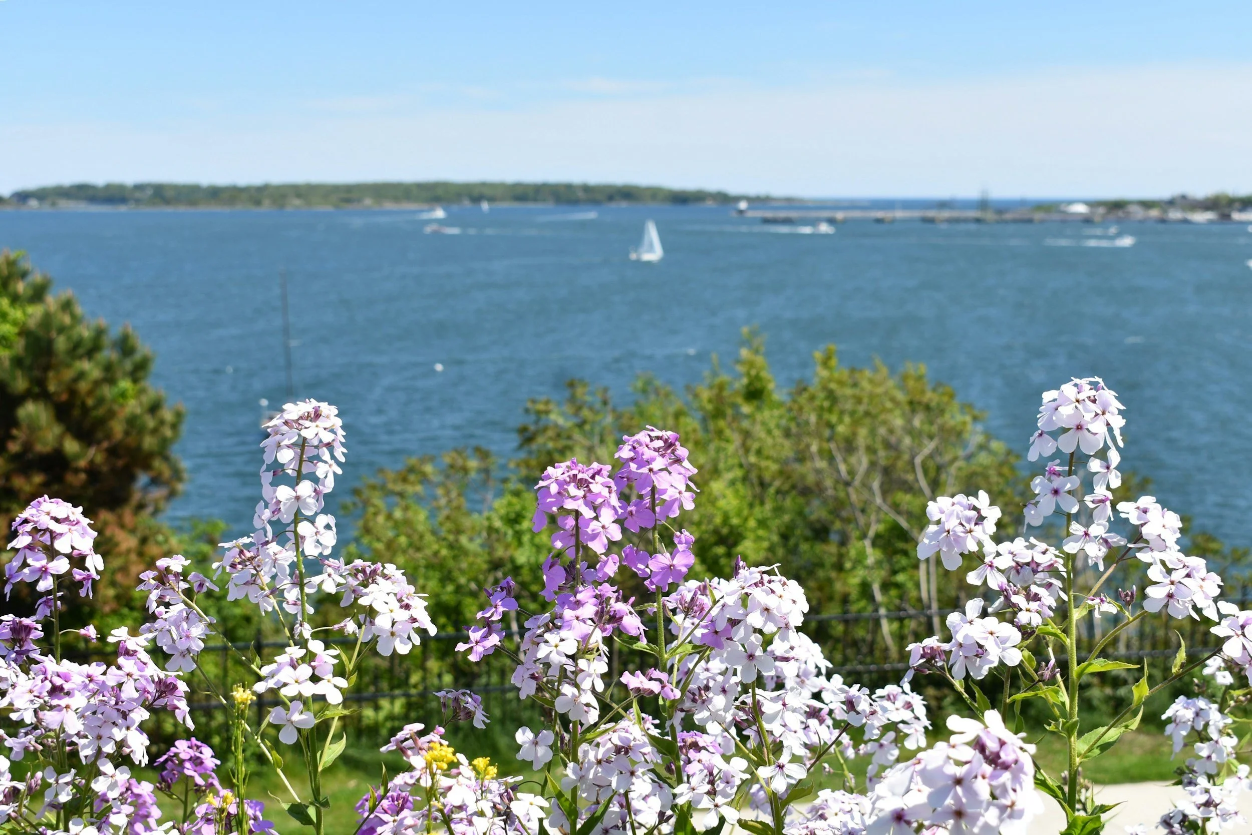 What Makes a Small-Town Setting Feel Real? Representing Coastal Maine in Fiction