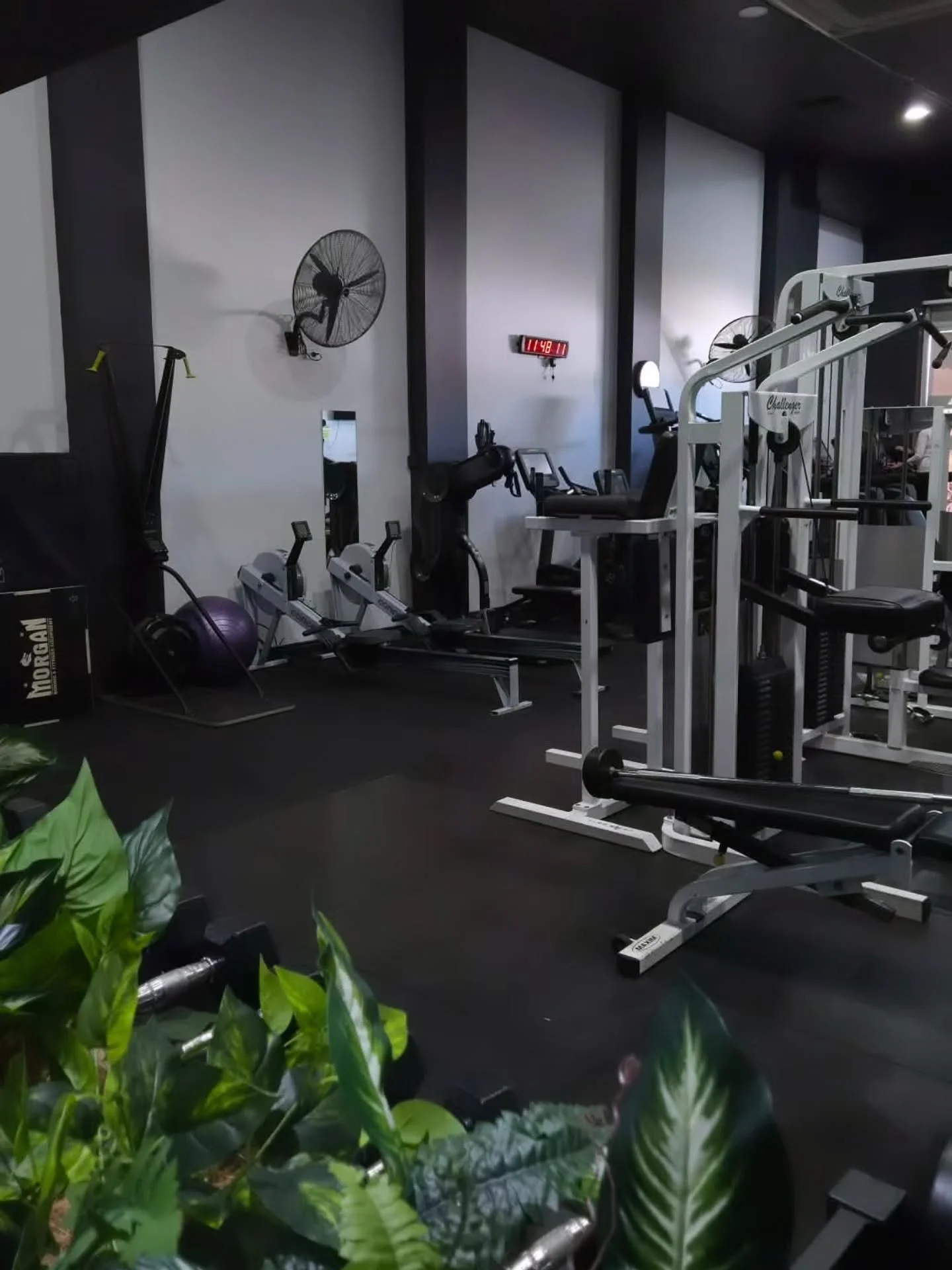 SNEEK A PEEK 👀

The upgrades are nearly complete and the gym is looking on point 👌

What do you love most about the upgrades?

Keep your eyes peeled for the opening of our private sauna room 🔥