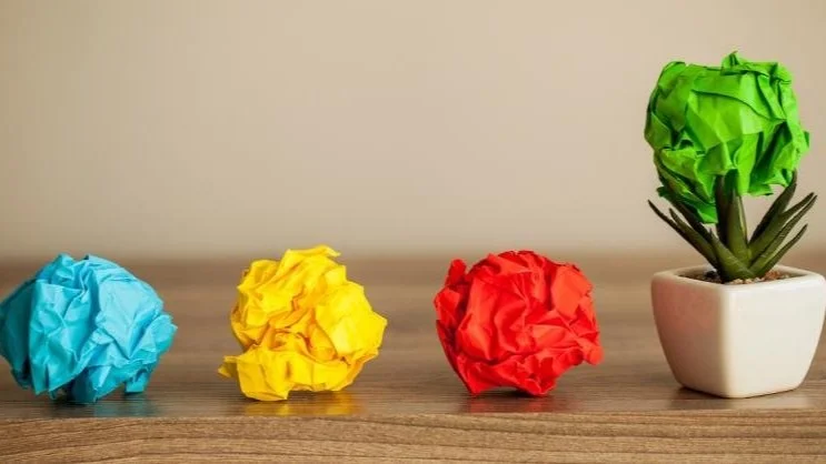 three crumpled balls of paper with a fourth ball of paper on a small plant