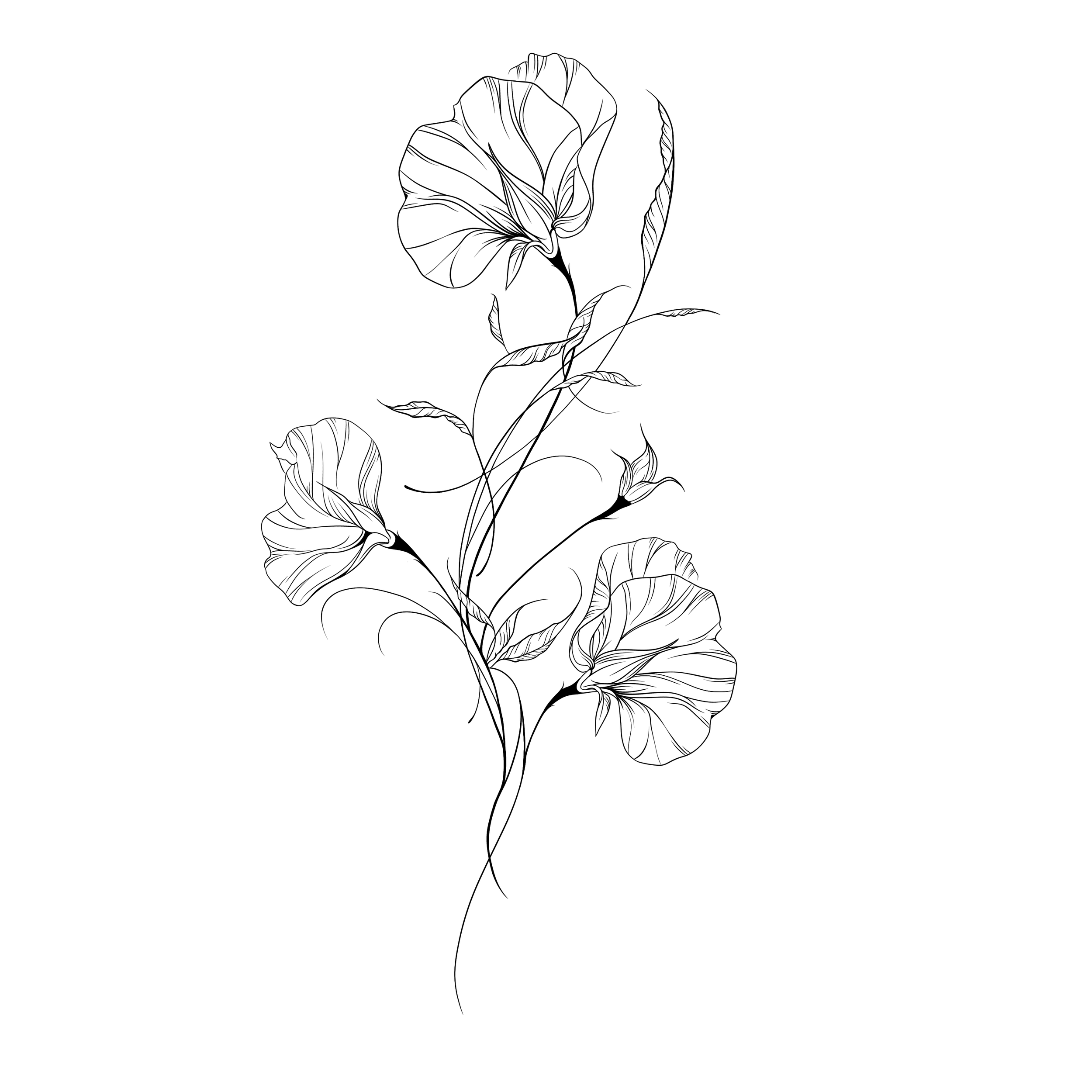 Bloom Line Design
