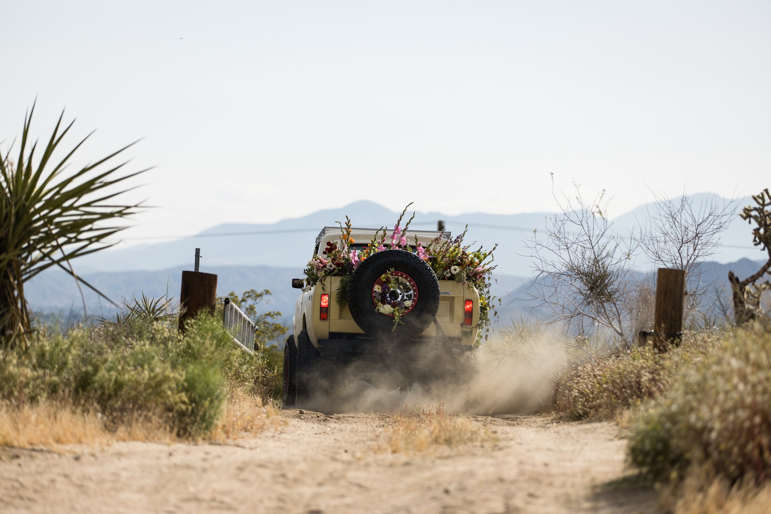Tacodust International Scout II on KMC Beadlock Wheels - © Sam Dobbins 2023 - 8861.jpg