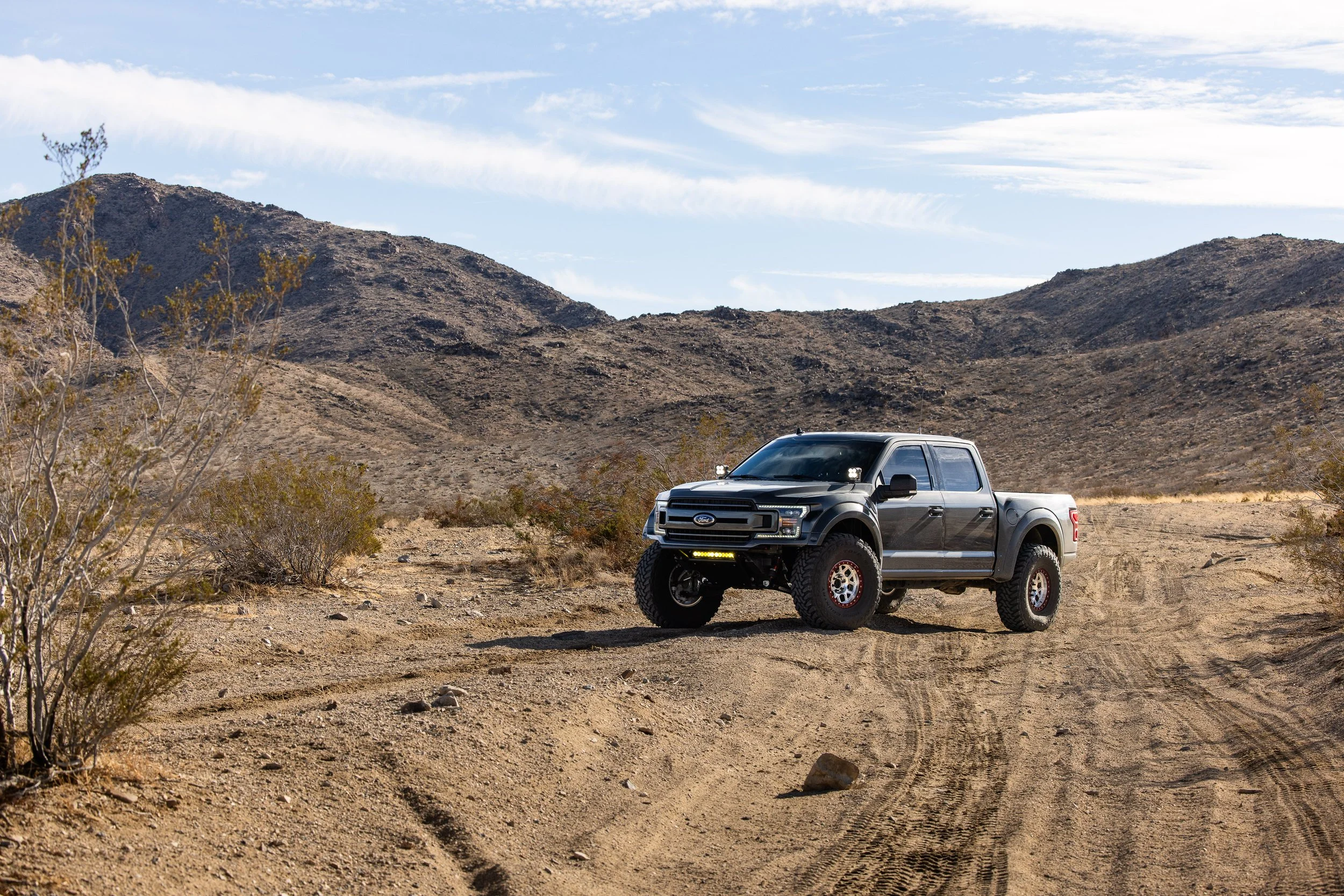 Ford F-150 AntiRaptor - Ryan Edwards - © Sam Dobbins 2021 - 2700.jpg