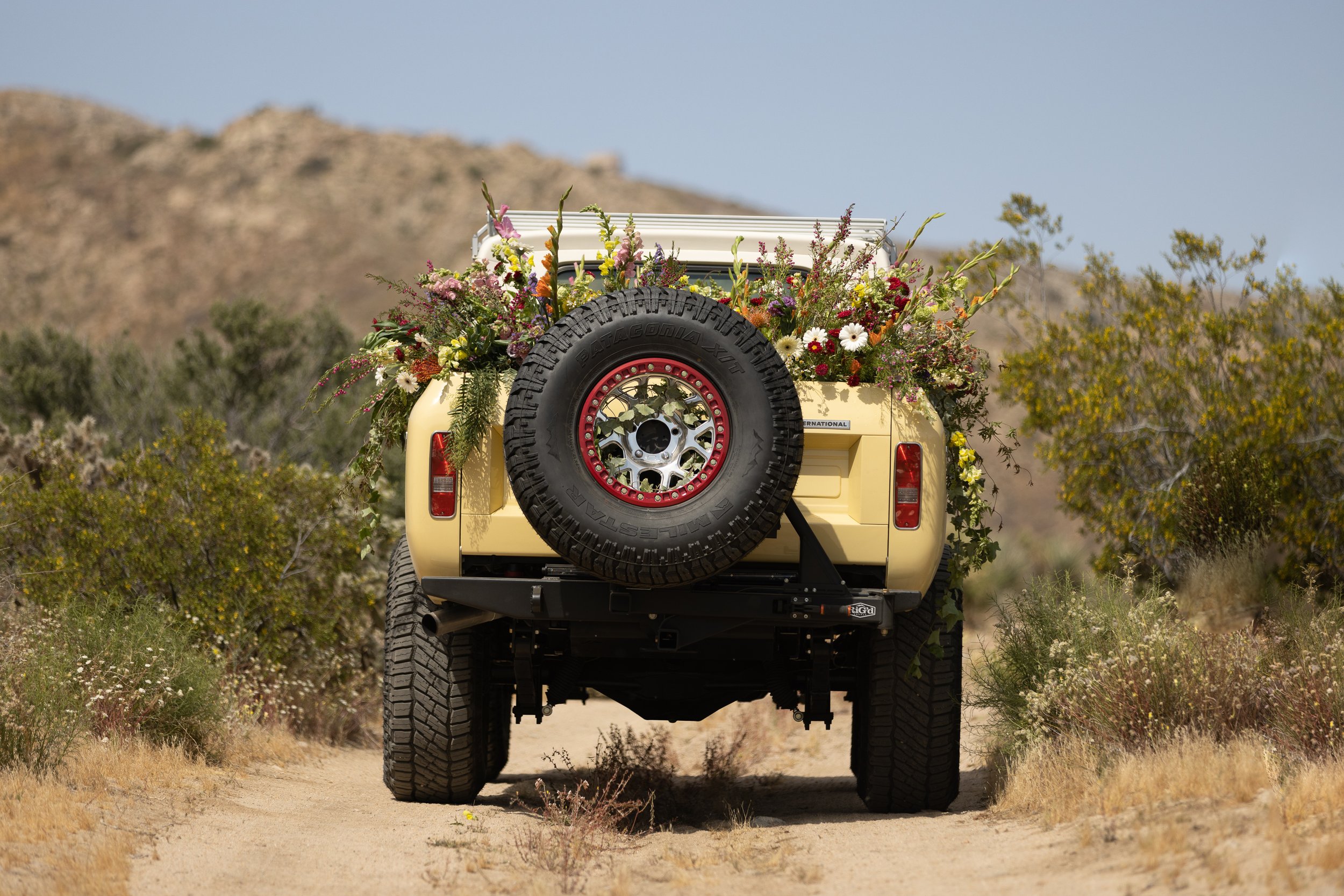Tacodust International Scout II on KMC Beadlock Wheels - © Sam Dobbins 2023 - 8282.jpg