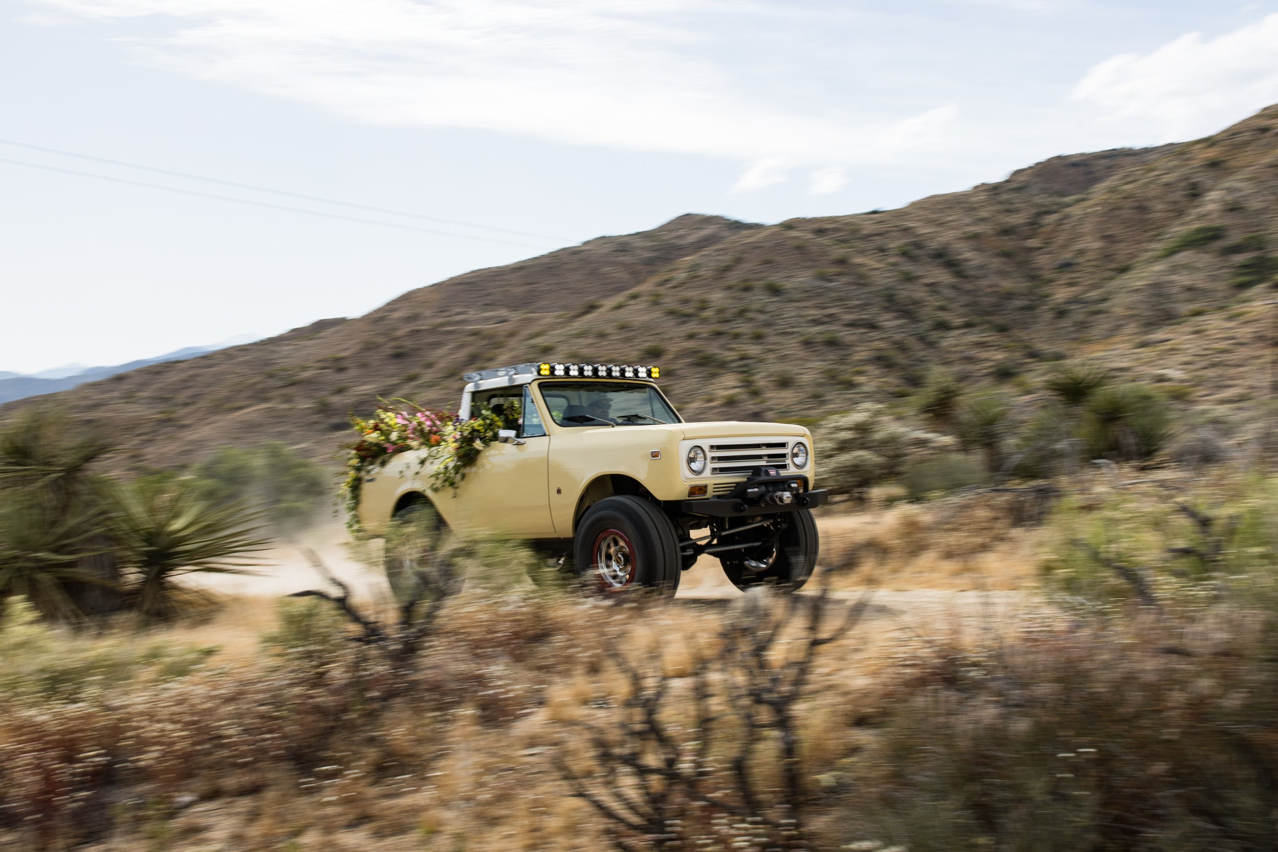 Tacodust International Scout II on KMC Beadlock Wheels - © Sam Dobbins 2023 - 8825.jpg