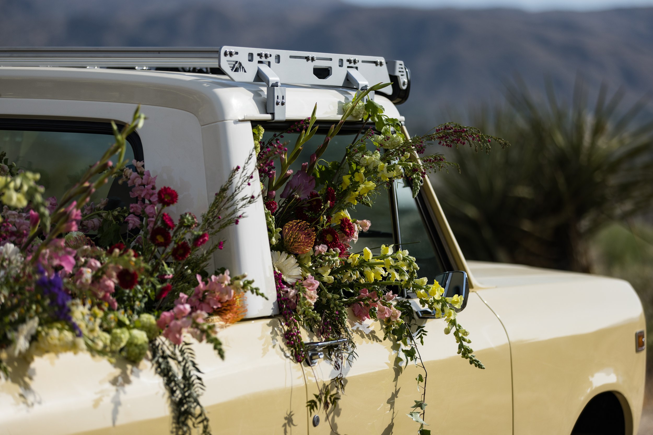 Tacodust International Scout II on KMC Beadlock Wheels - © Sam Dobbins 2023 - 9018.jpg